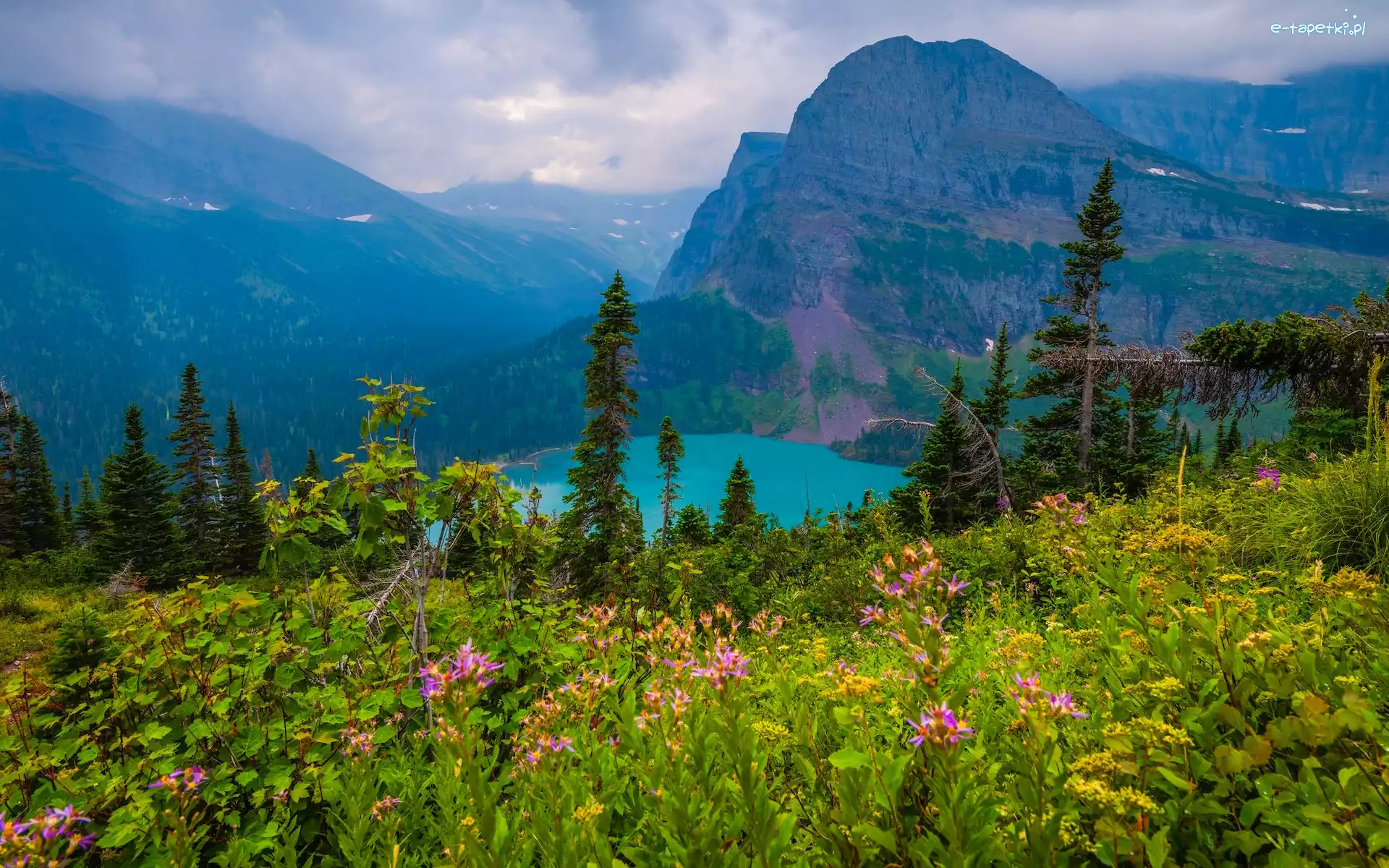 Łąka, Montana, Chmury, Grinnell Lake, Drzewa, Góry, Jezioro, Park Narodowy Glacier, Stany Zjednoczone, Rośliny