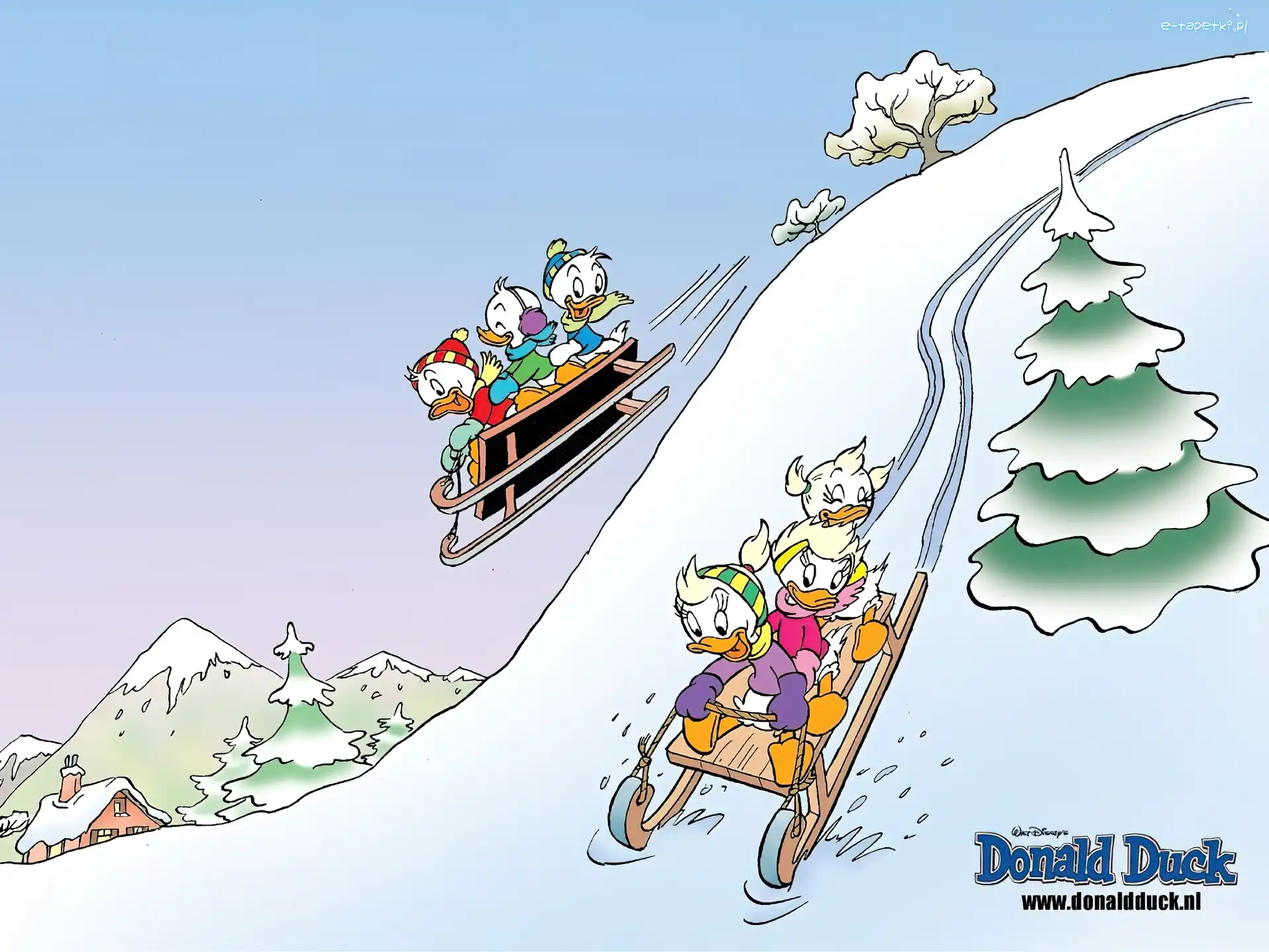 śnieg, sanki, Kaczor Donald