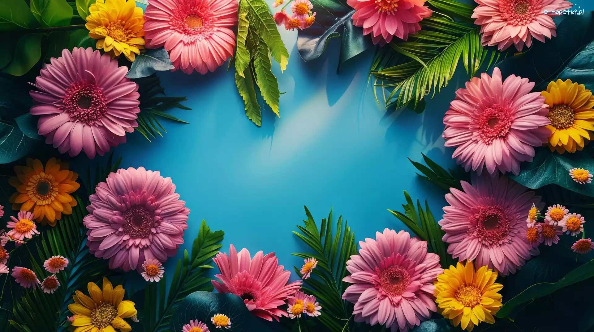 Kwiaty, Grafika, Kompozycja, Gerbera