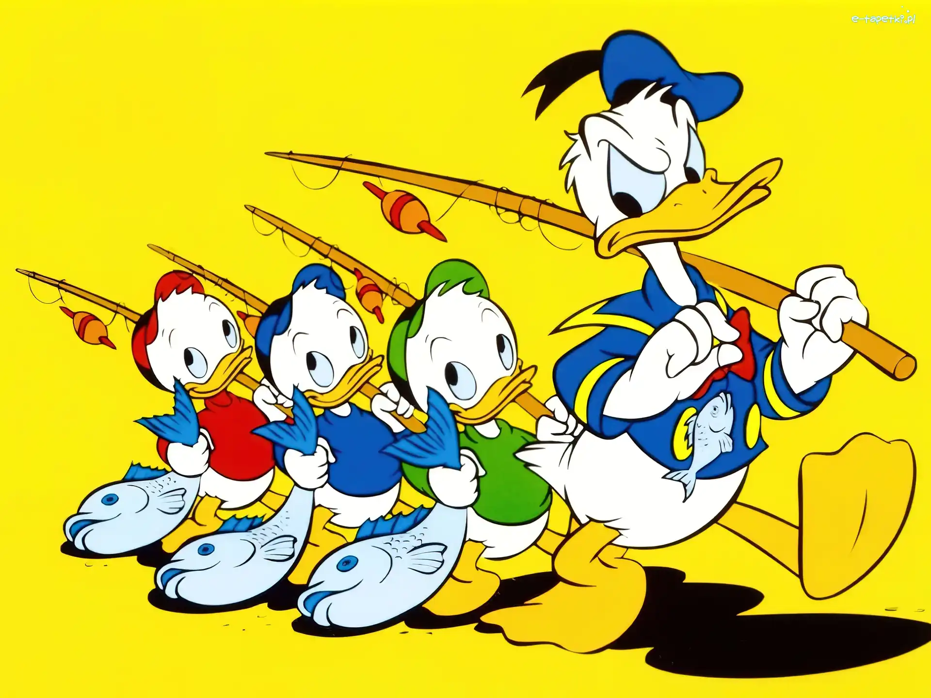 ryby, wędki, Kaczor Donald