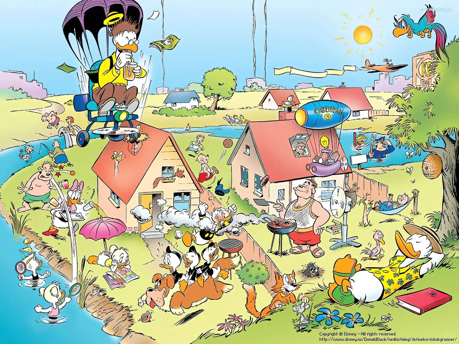 wypoczynek, lato, Kaczor Donald