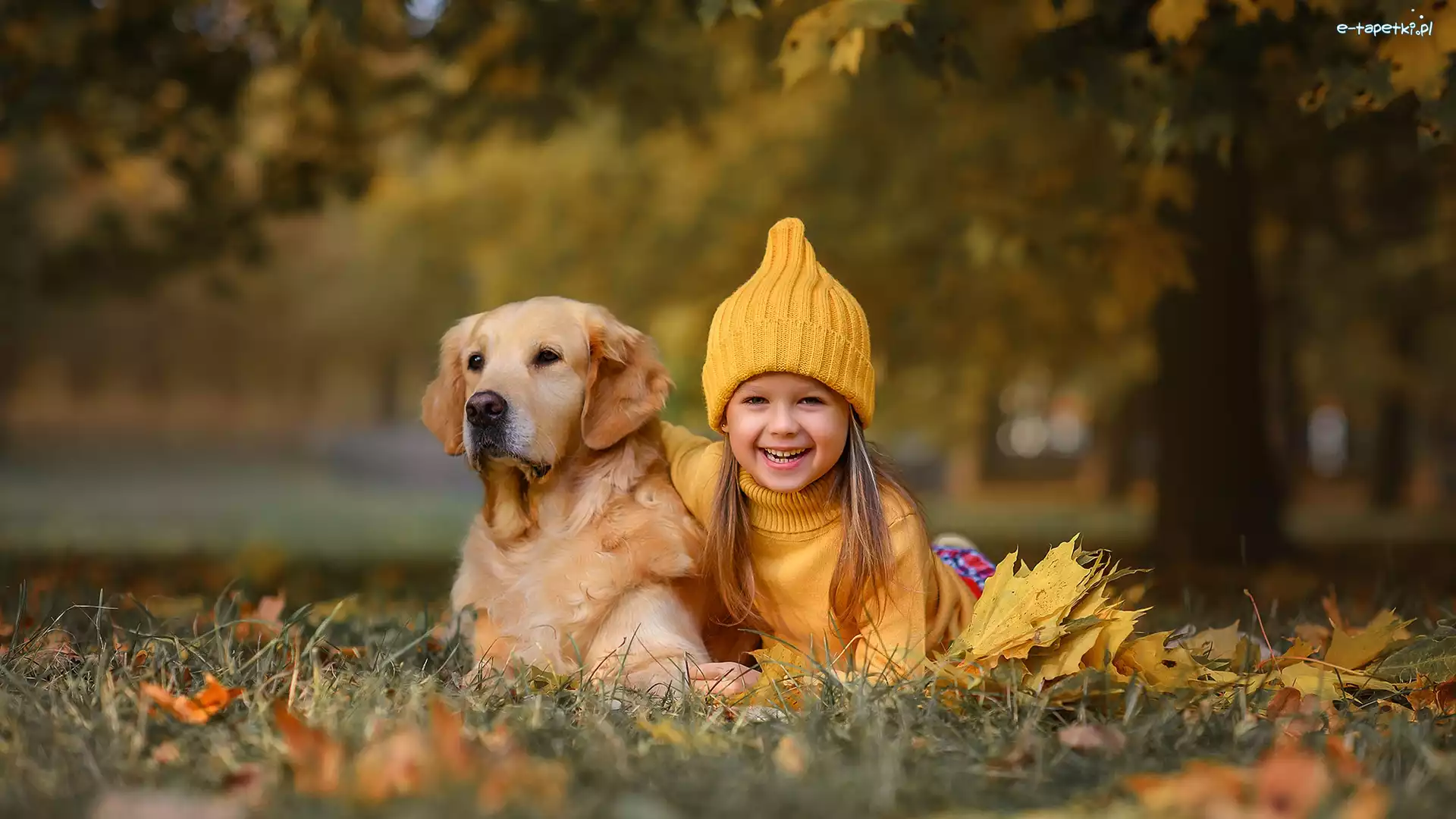 Dziewczyna, Pies, Czapka, Łąka, Golden retriever