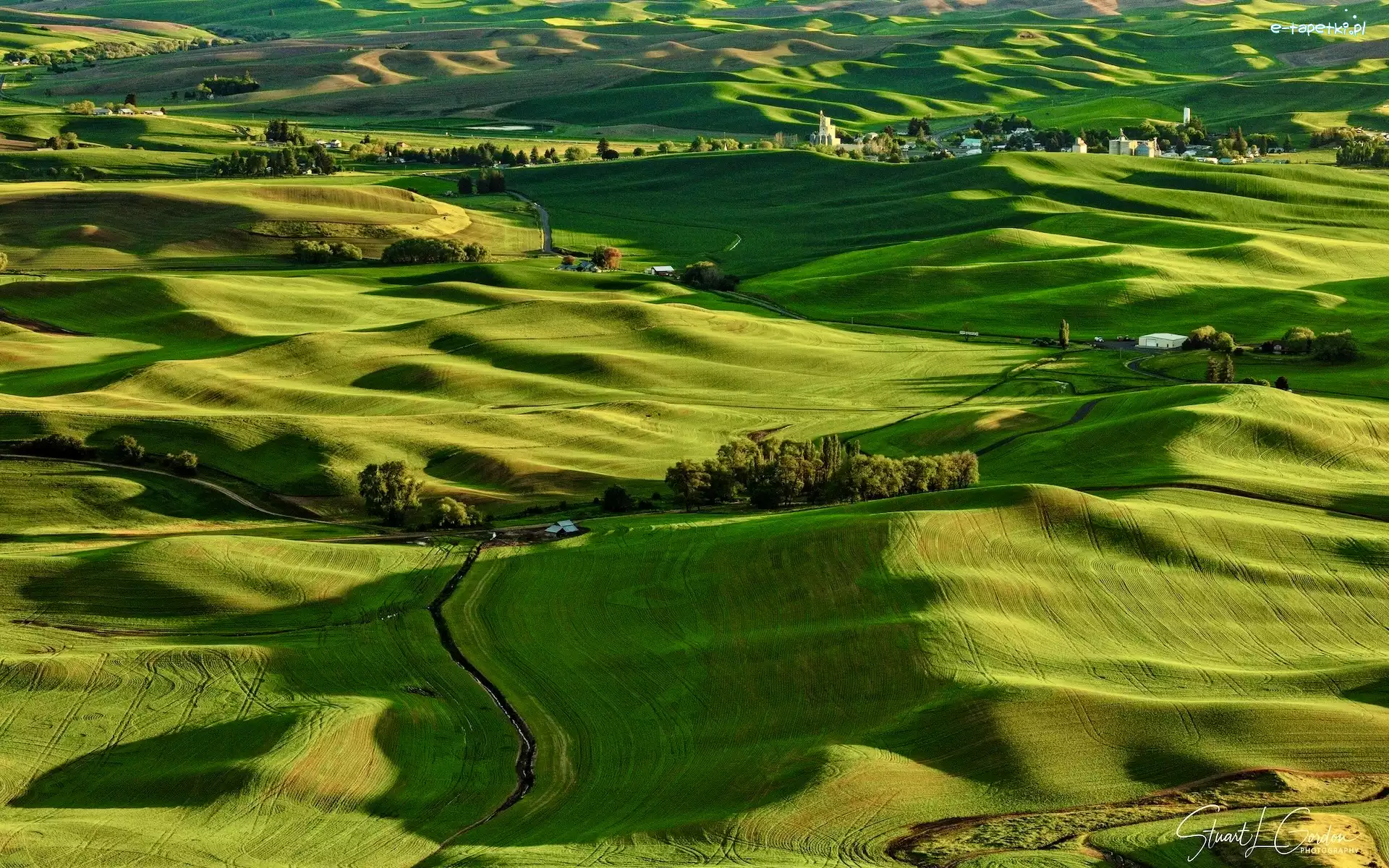 Wzgórza, Stan Waszyngton, Drzewa, Domy, Palouse, Pola, Łąki, Stany Zjednoczone