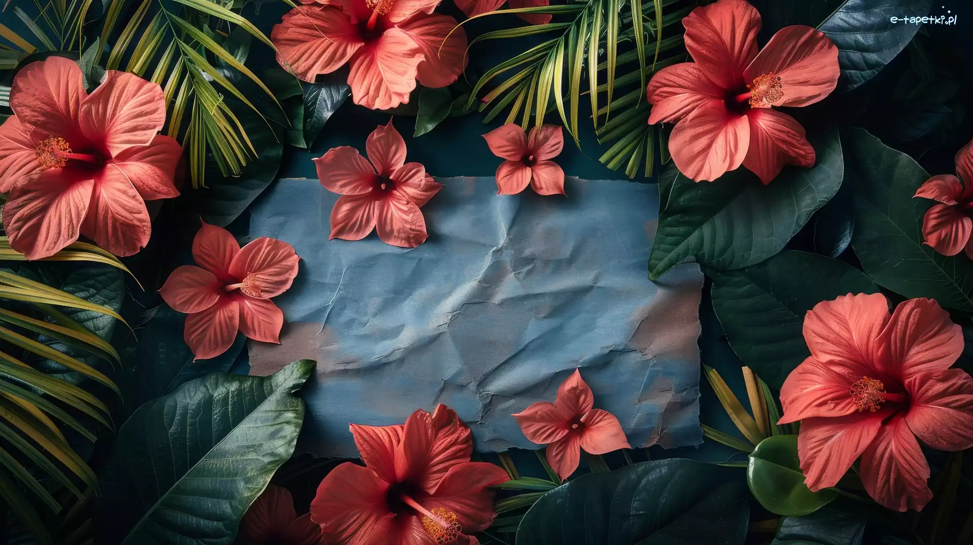 Kwiaty, Liście, Hibiskusy, Kartka, Papier