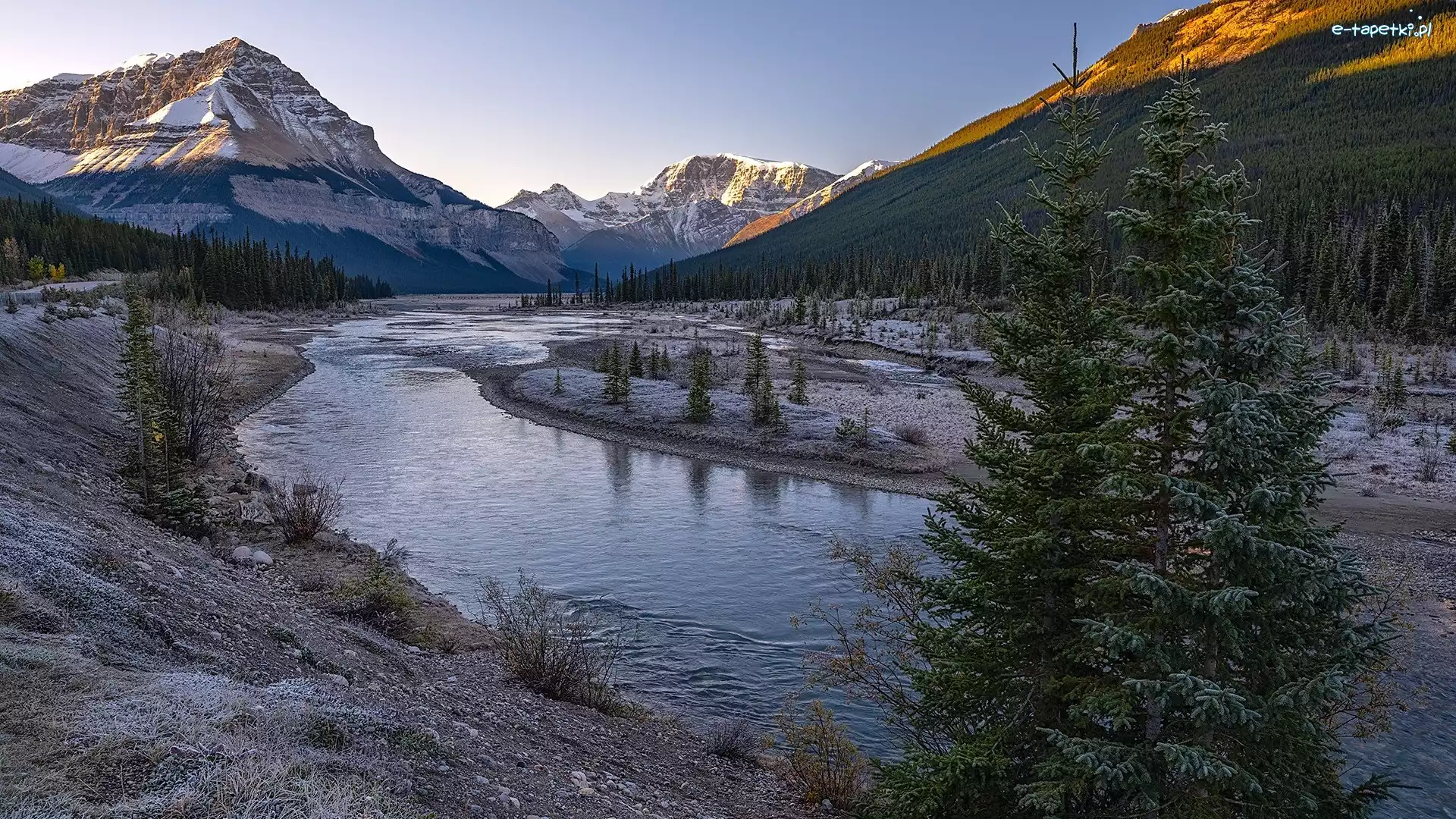 Park Narodowy Jasper, Athabasca, Drzewa, Kanada, Rzeka, Góry Skaliste