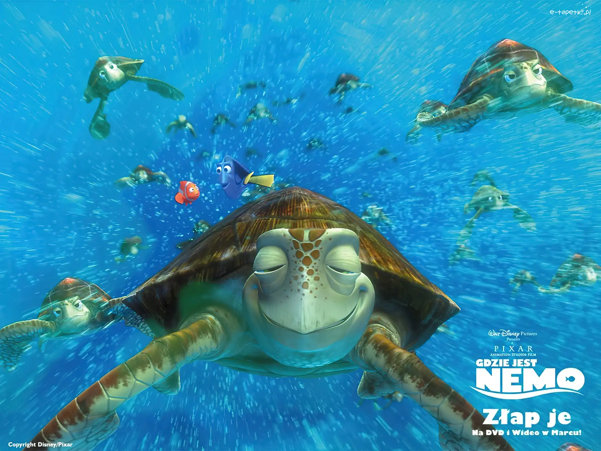 Gdzie jest Nemo, Żółw, Finding Nemo, Film animowany