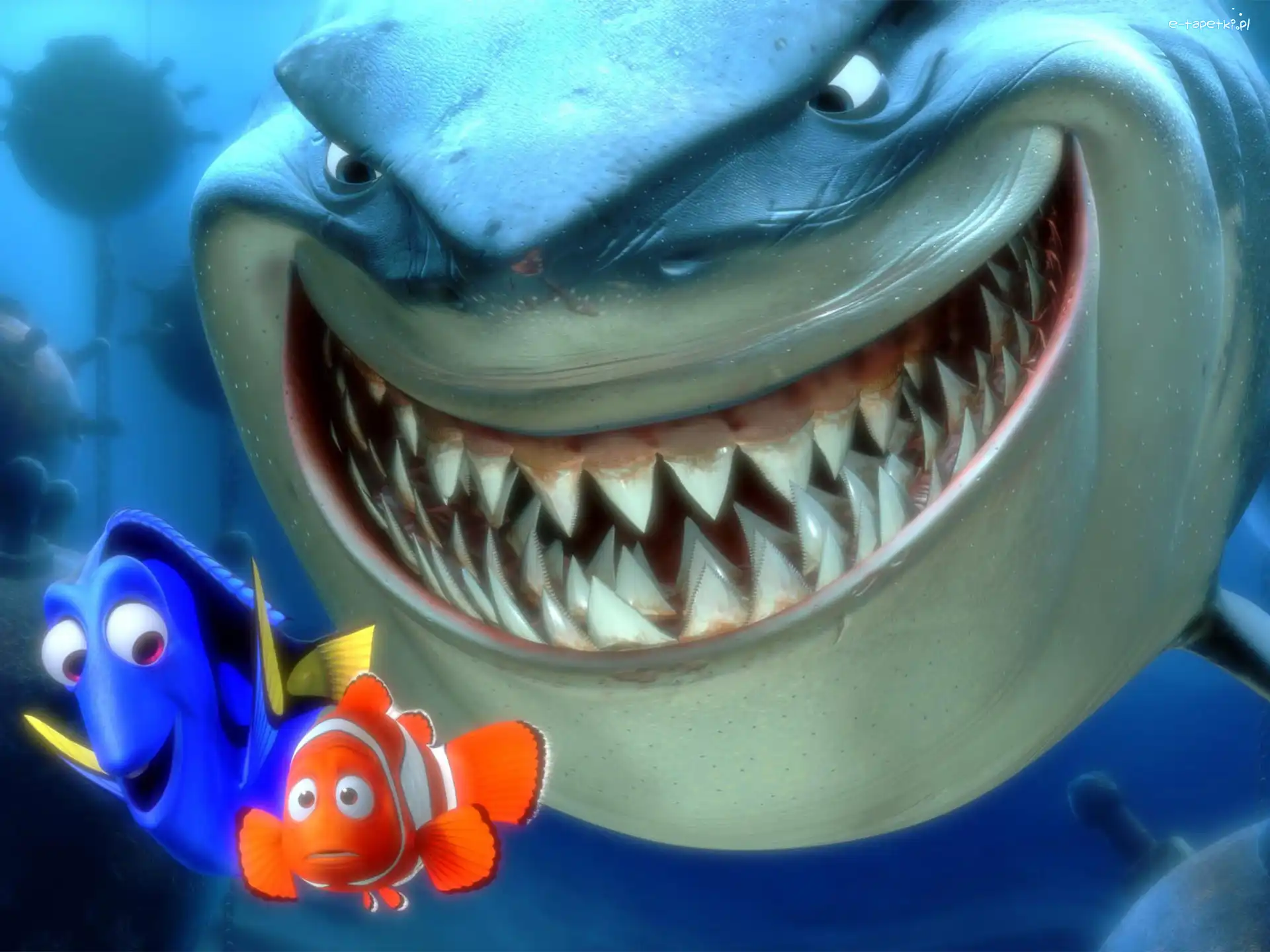 rybki, Finding Nemo, Gdzie jest Nemo, rekin