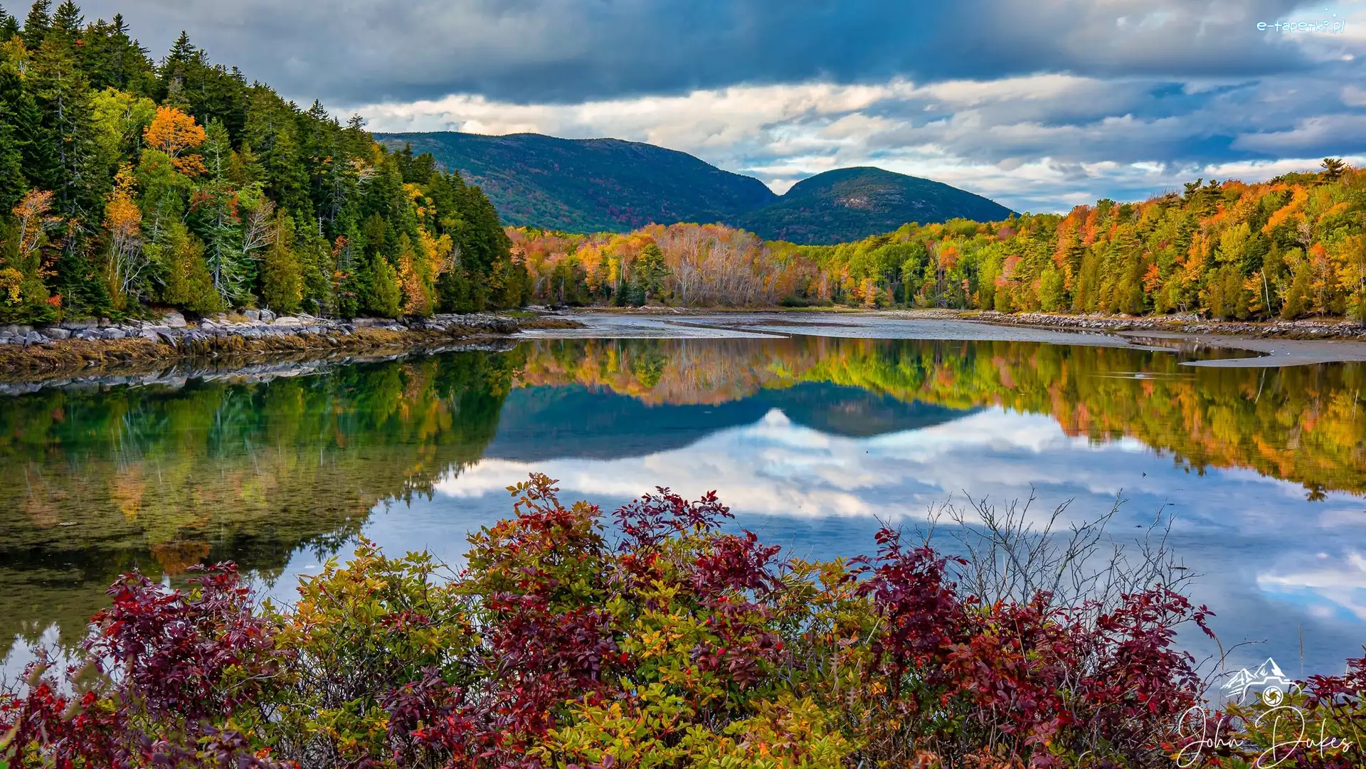 Lasy, Jordan Pond, Park Narodowy Acadia, Stan Maine, Stany Zjednoczone, Bubble Mountains, Góry, Jezioro, Roślinność