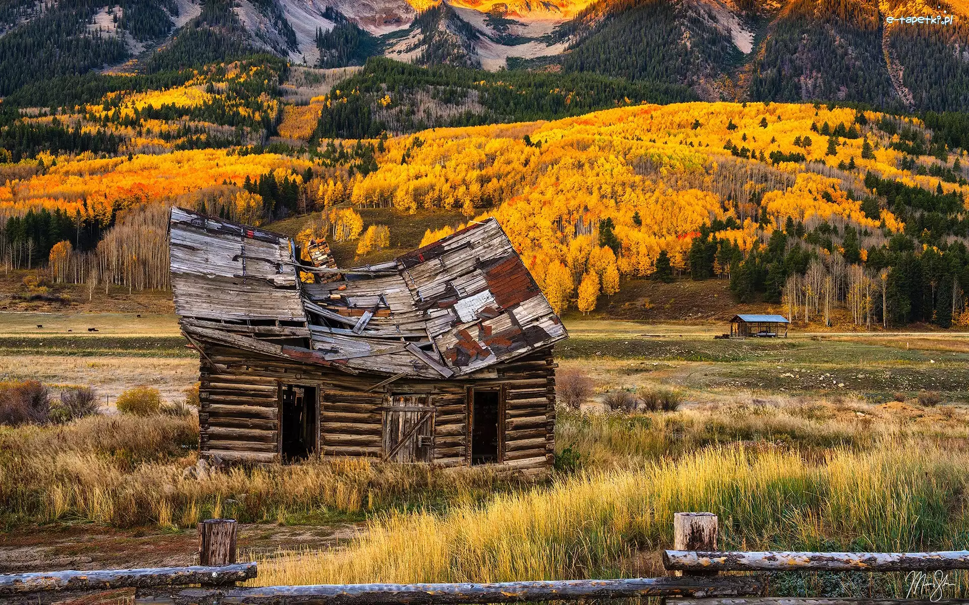 Góry, Kolorado, Drewniana, Szopa, Crested Butte, Jesień, Drzewa, Stany Zjednoczone