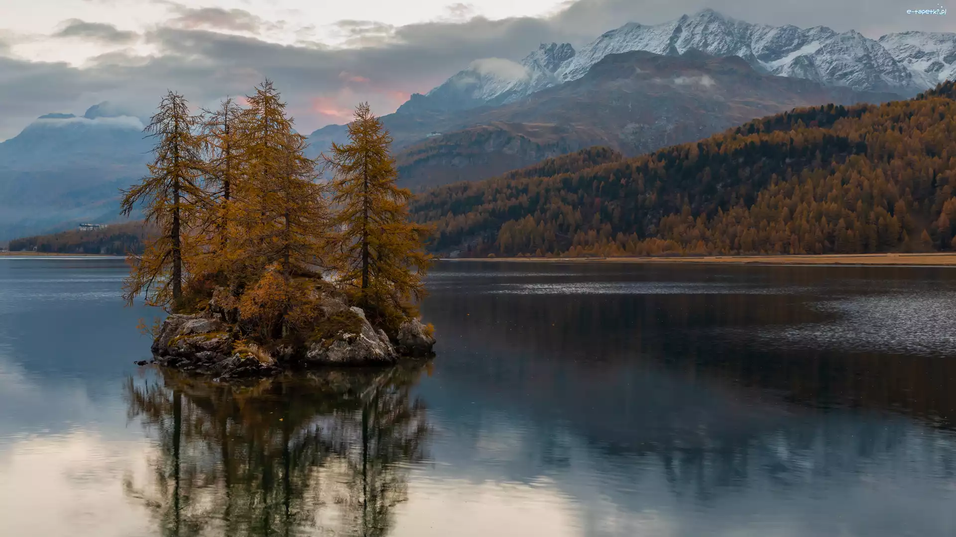 Zalesione, Wyspa, Drzewa, Wzgórza, Jezioro Silsersee, Szwajcaria