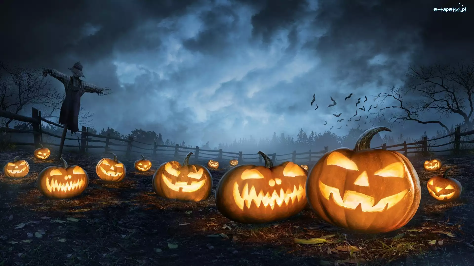 Latarnie, Pole, Dynie, Grafika, Halloween