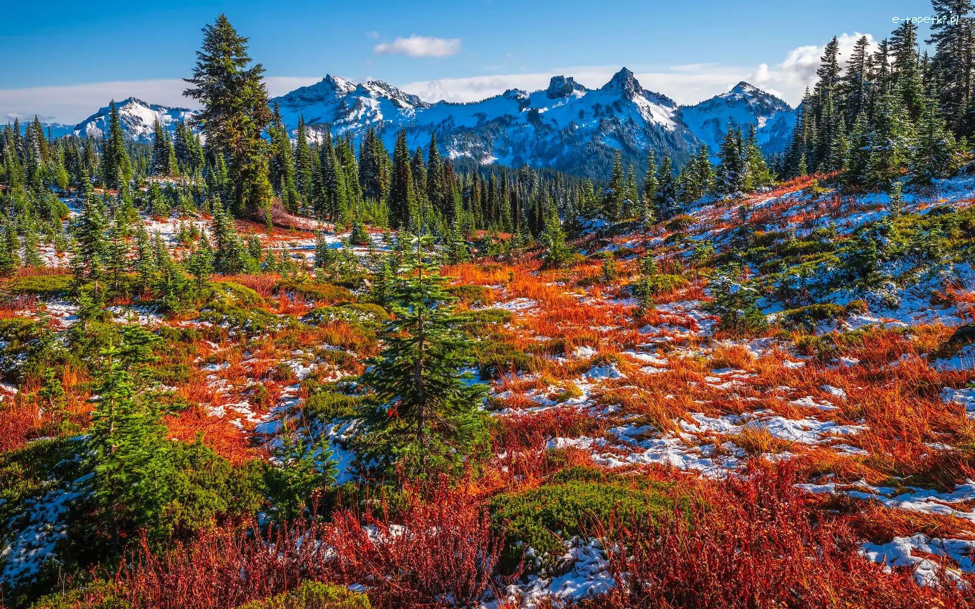 Śnieg, Góry, Stany Zjednoczone, Drzewa, Łąka, Jesień, Roślinność, Park Narodowy Mount Rainier, Tatoosh Range, Stan Waszyngton
