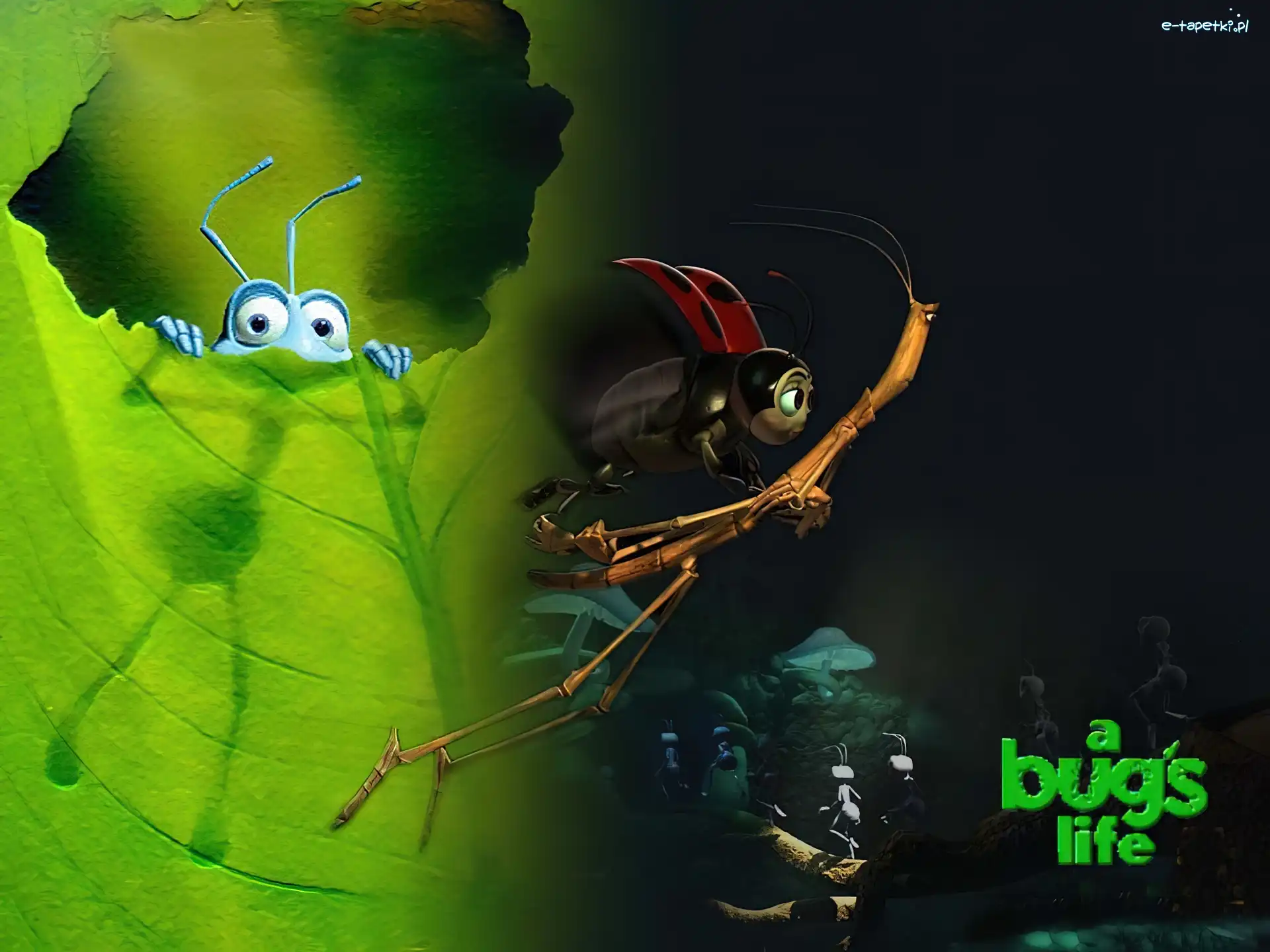 Film animowany, A Bugs Life, Dawno temu w trawie, Liść, Mrówka