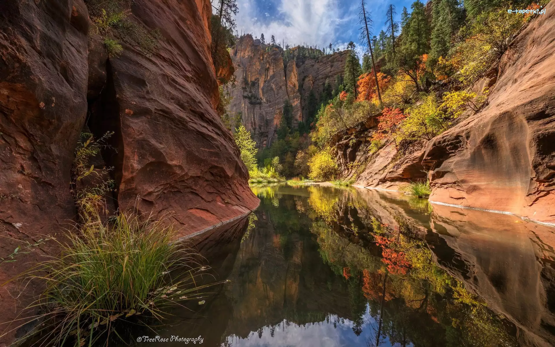 Skały, Arizona, Drzewa, West Fork of Oak Creek, Sedona, Wąwóz, Rzeka, Stany Zjednoczone