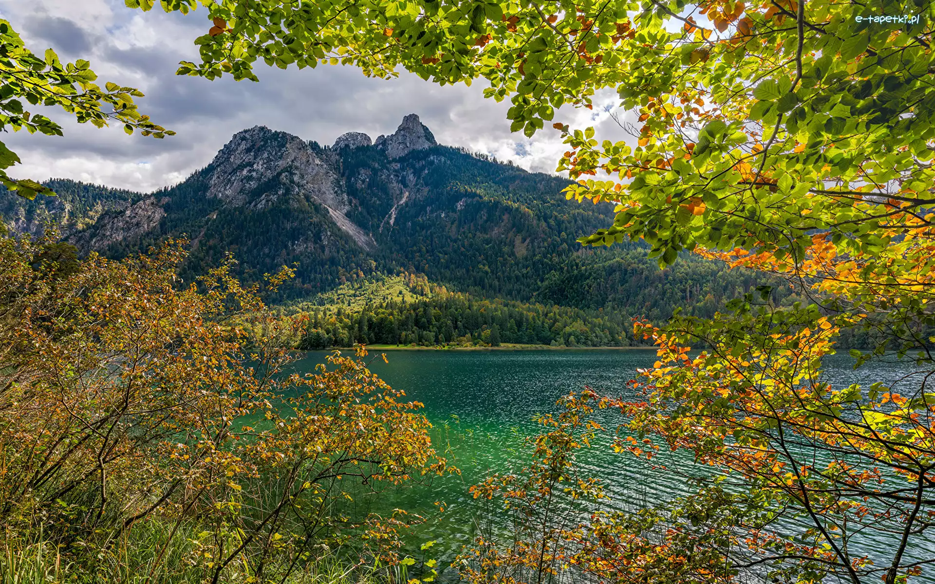 Gałęzie, Jesień, Liście, Alpy, Niemcy, Jezioro, Drzewa, Bawaria, Alpsee, Góry, Chmury