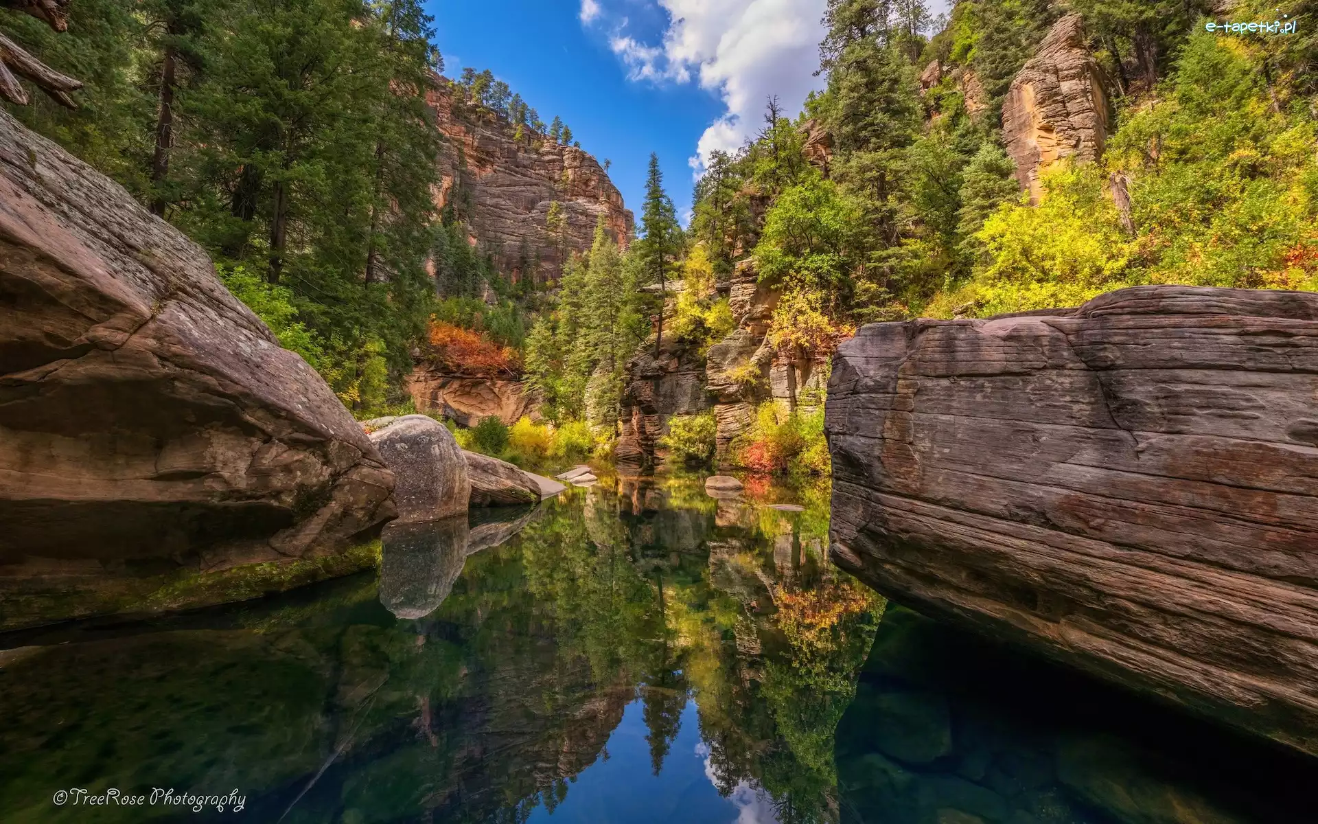 Rzeka, Wąwóz, Sedona, Arizona, Stany Zjednoczone, Odbicie, Drzewa, Skały, West Fork of Oak Creek