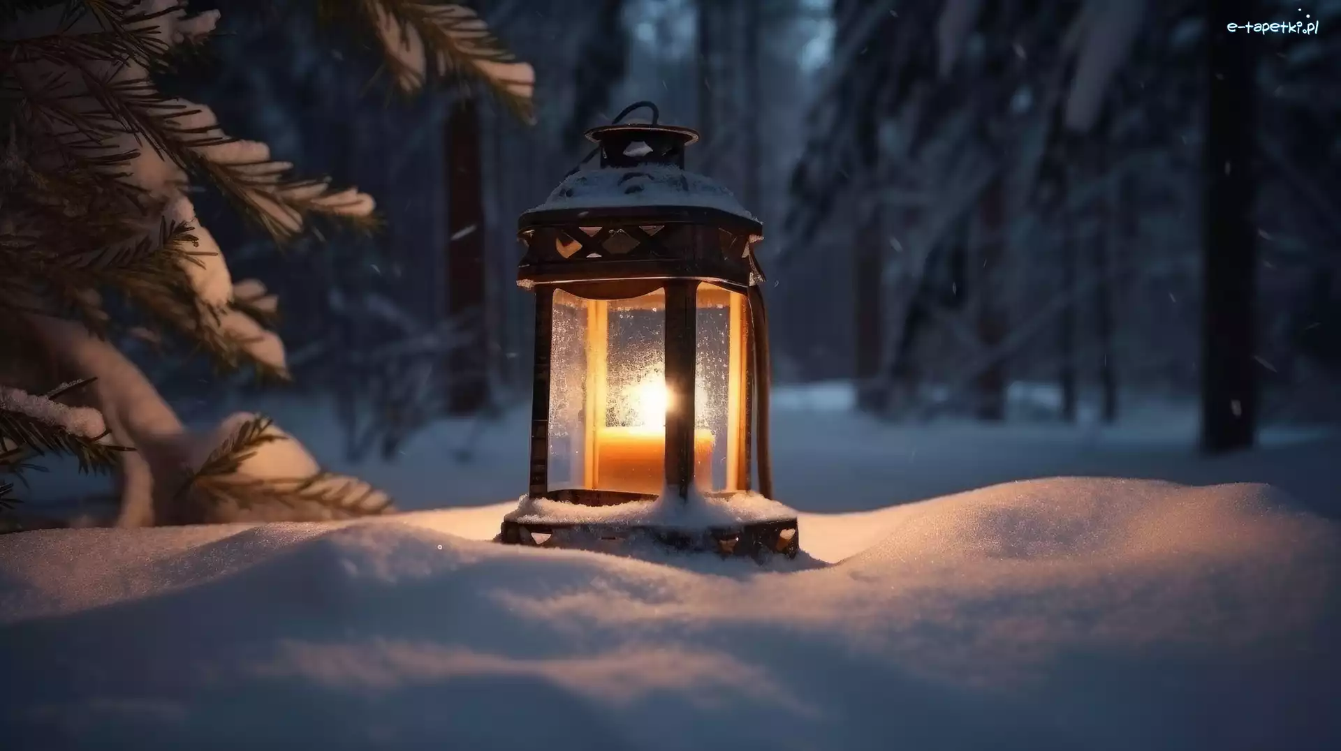 Las, Noc, Lampion, Zima
