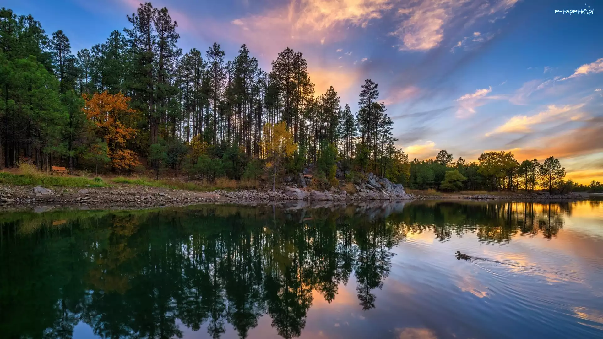 Odbicie, Jezioro, Goldwater Lake, Arizona, Stany Zjednoczone, Zachód Słońca, Drzewa