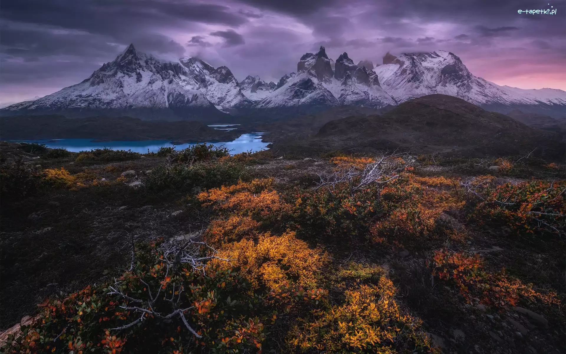 Jesień, Park Narodowy Torres del Paine, Góry, Roślinność, Patagonia, Chile