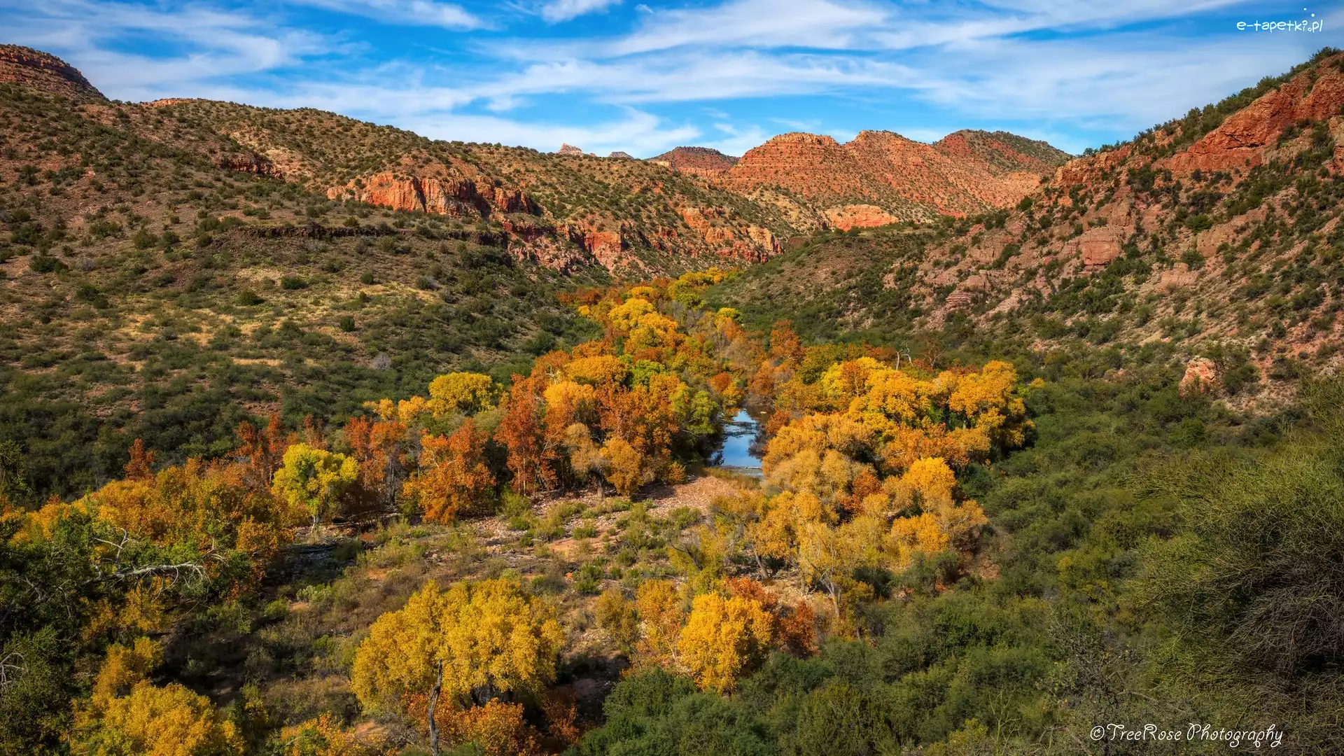 Stany Zjednoczone, Góry, Rzeka, Drzewa, Jesień, Arizona, Kanion Sycamore
