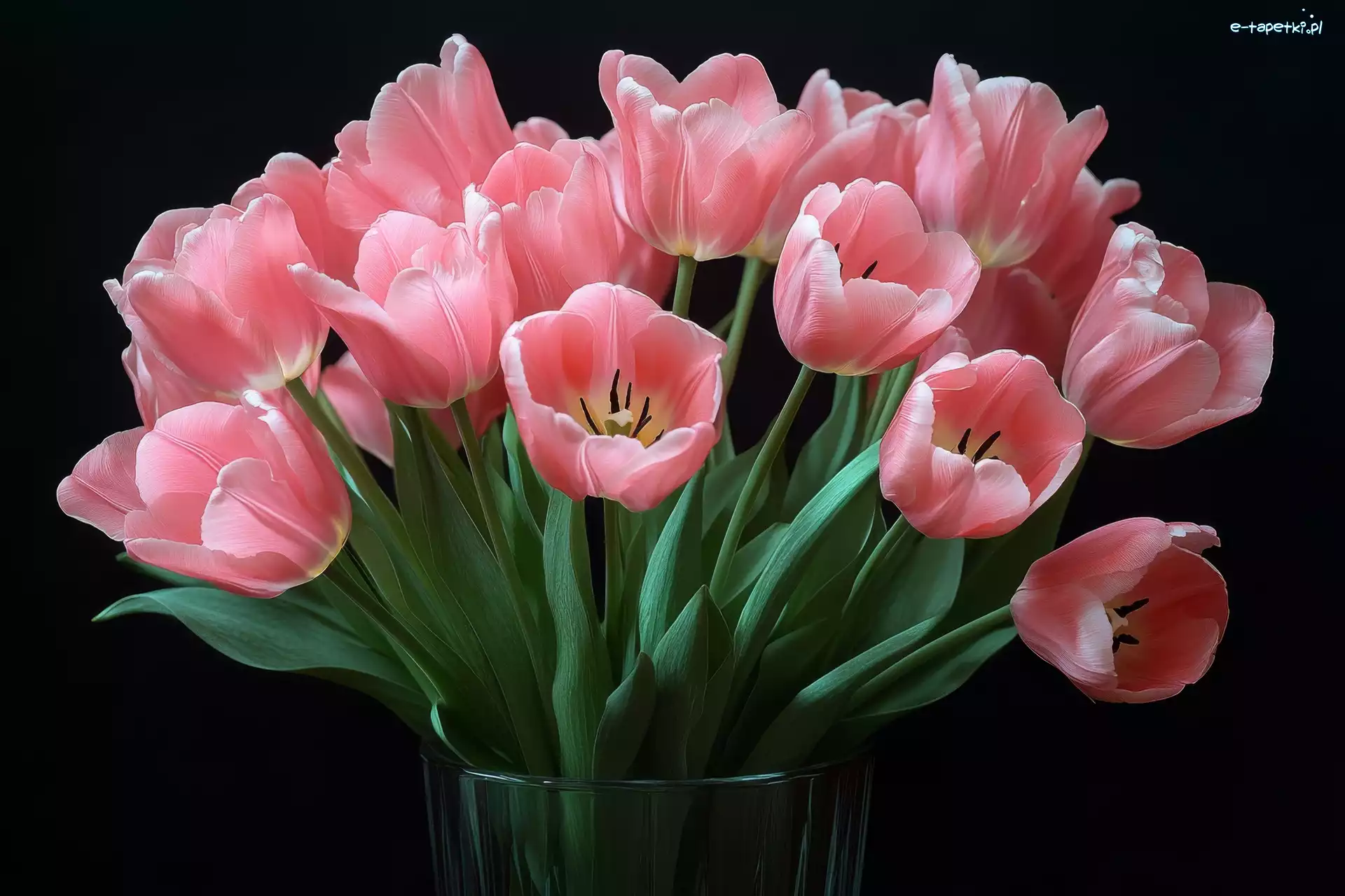 Tulipany, Naczynie, Szklane, Różowe