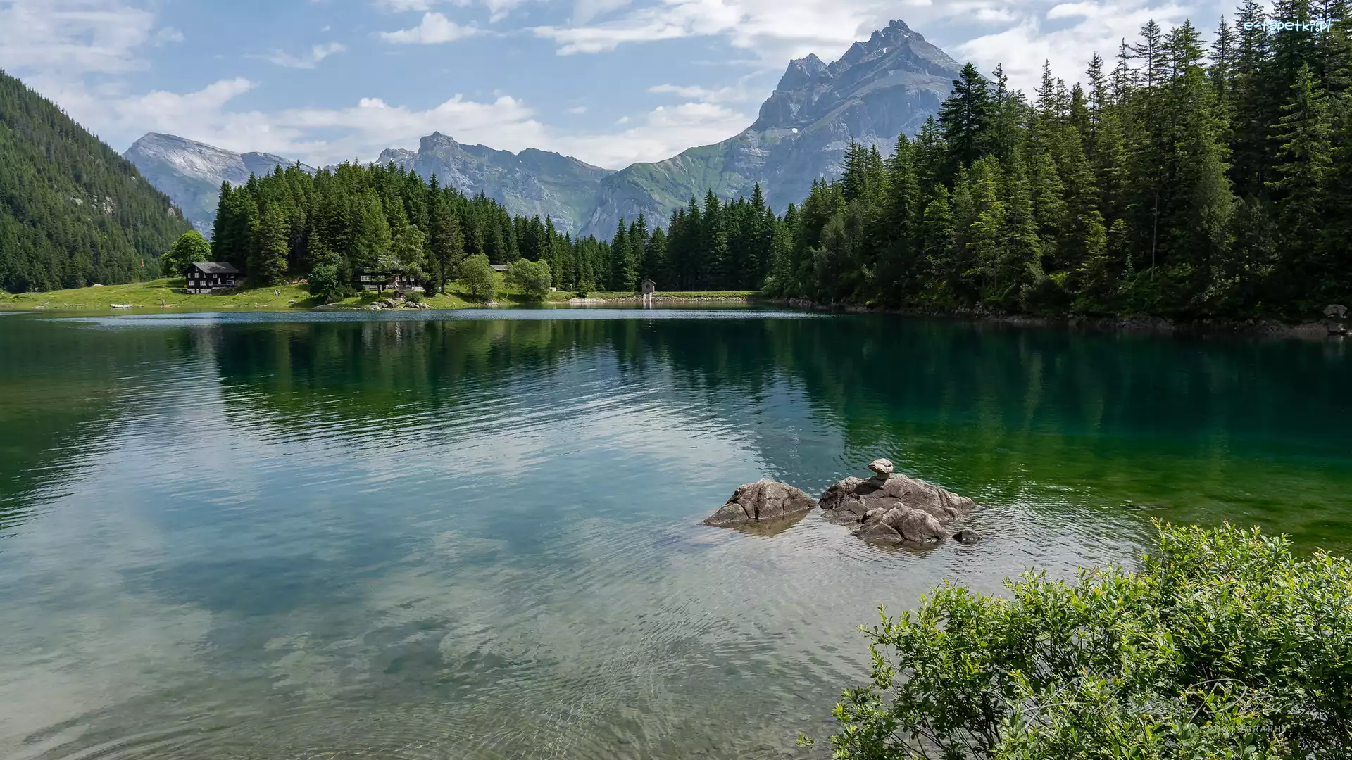 Góry, Jezioro, Szwajcaria, Kanton Uri, Arnisee, Drzewa, Las, Zbiornik zaporowy