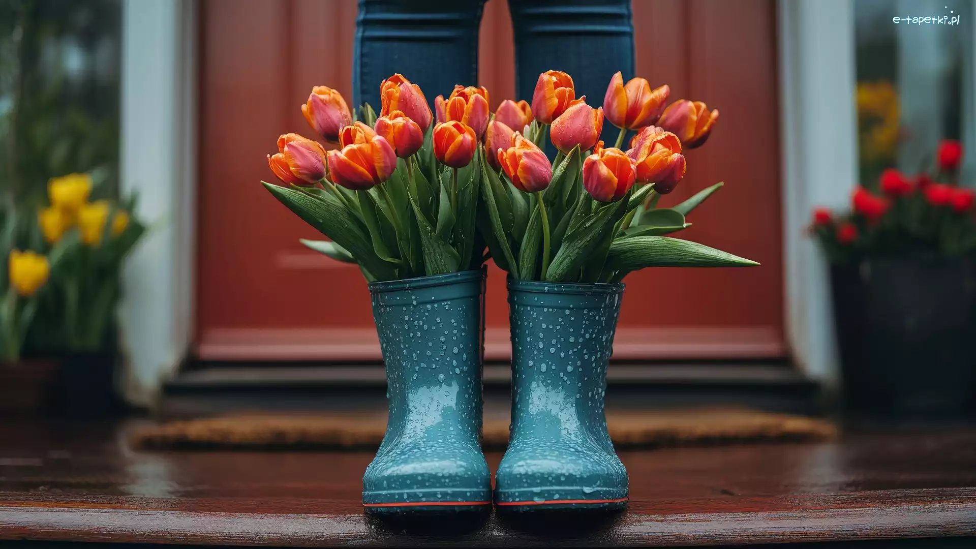 Drzwi, Kalosze, Tulipany