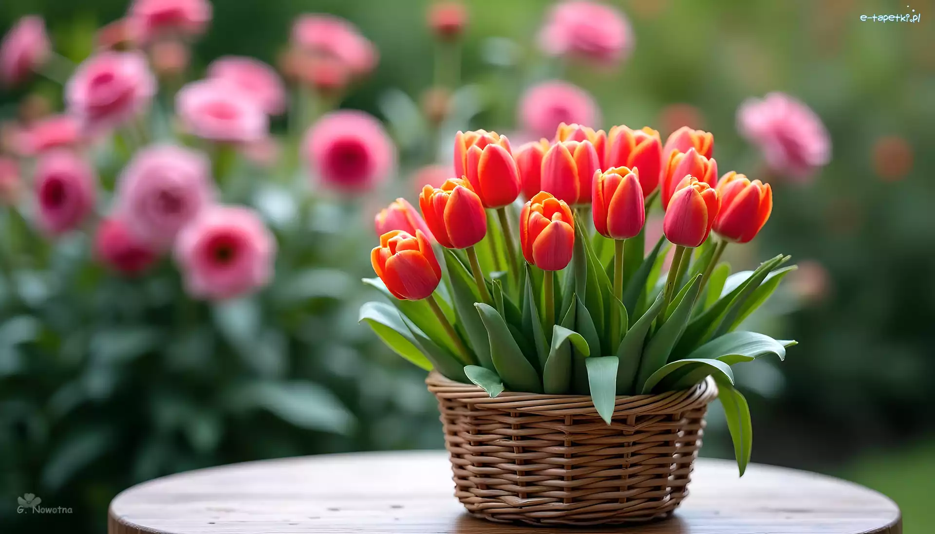 Kwiaty, Grafika, Koszyk, Tulipany