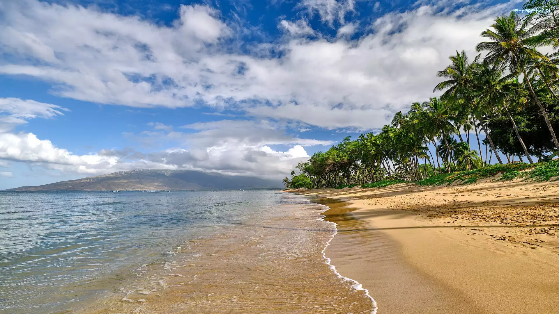 Plaża, Maui, Morze, Palmy, Hawaje, Stany Zjednoczone