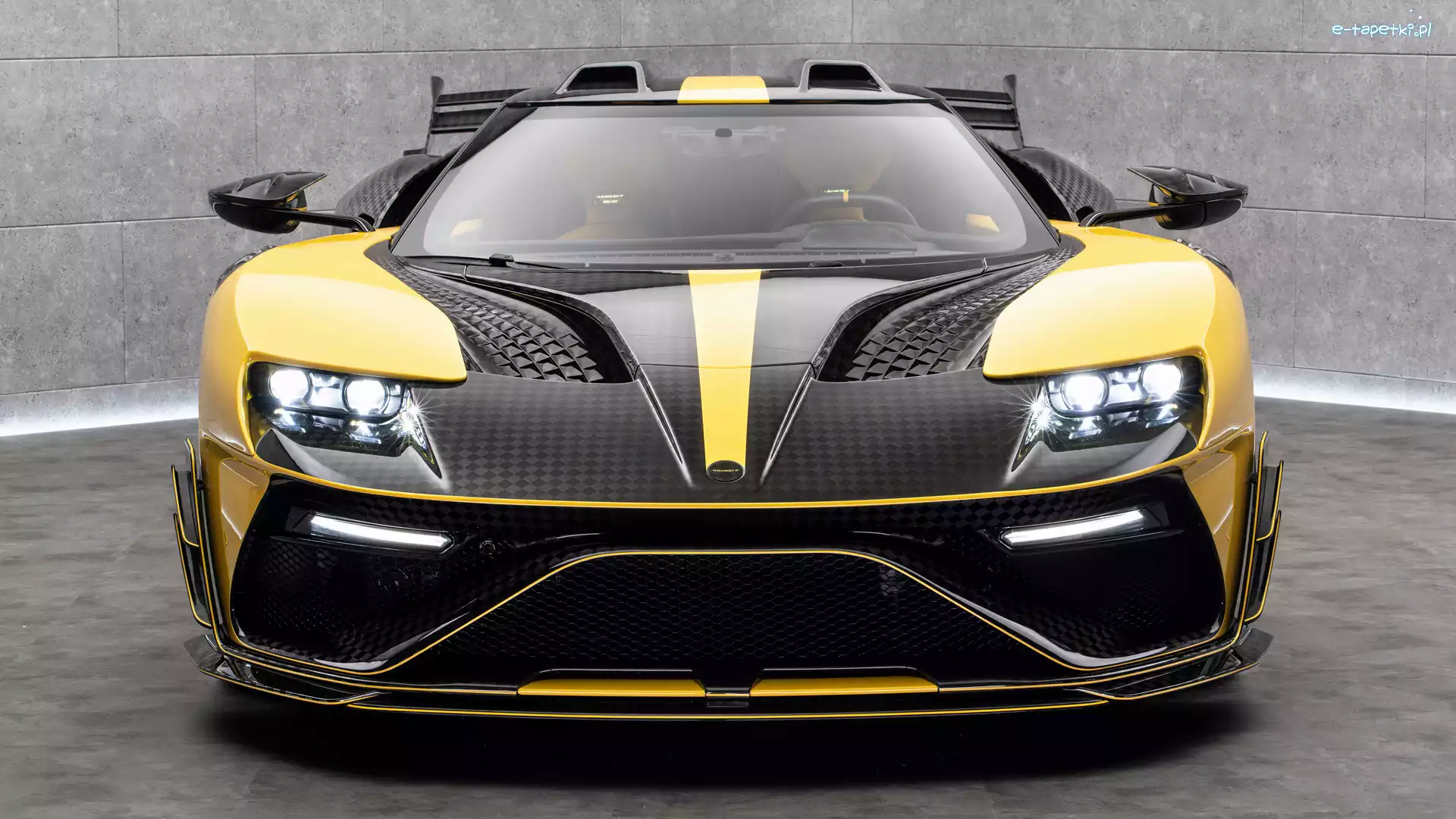 Mansory, Przód, Under Armour, Ford GT