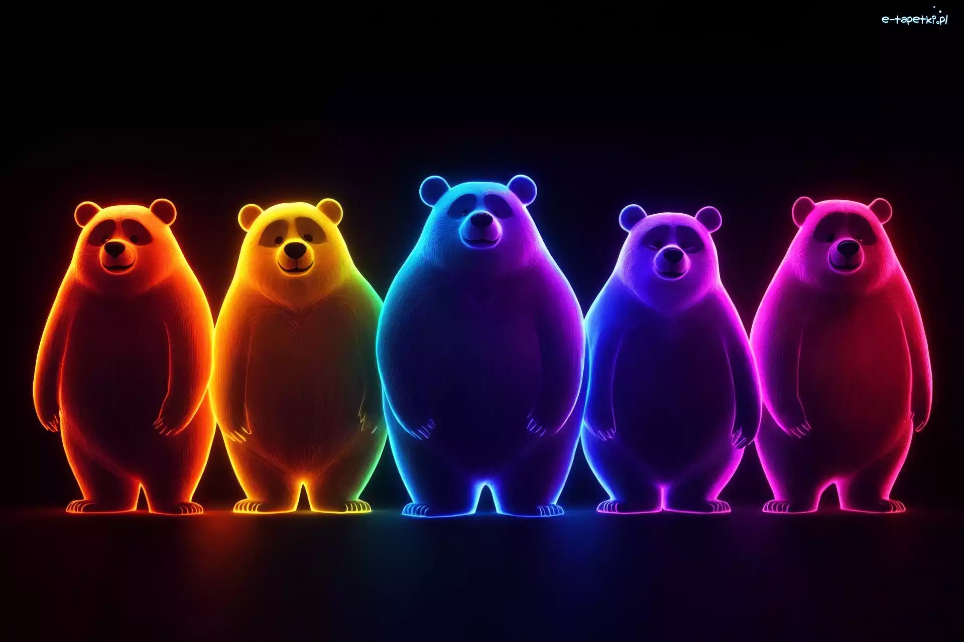 Kolorowy, Grafika, Neon, Niedźwiedzie