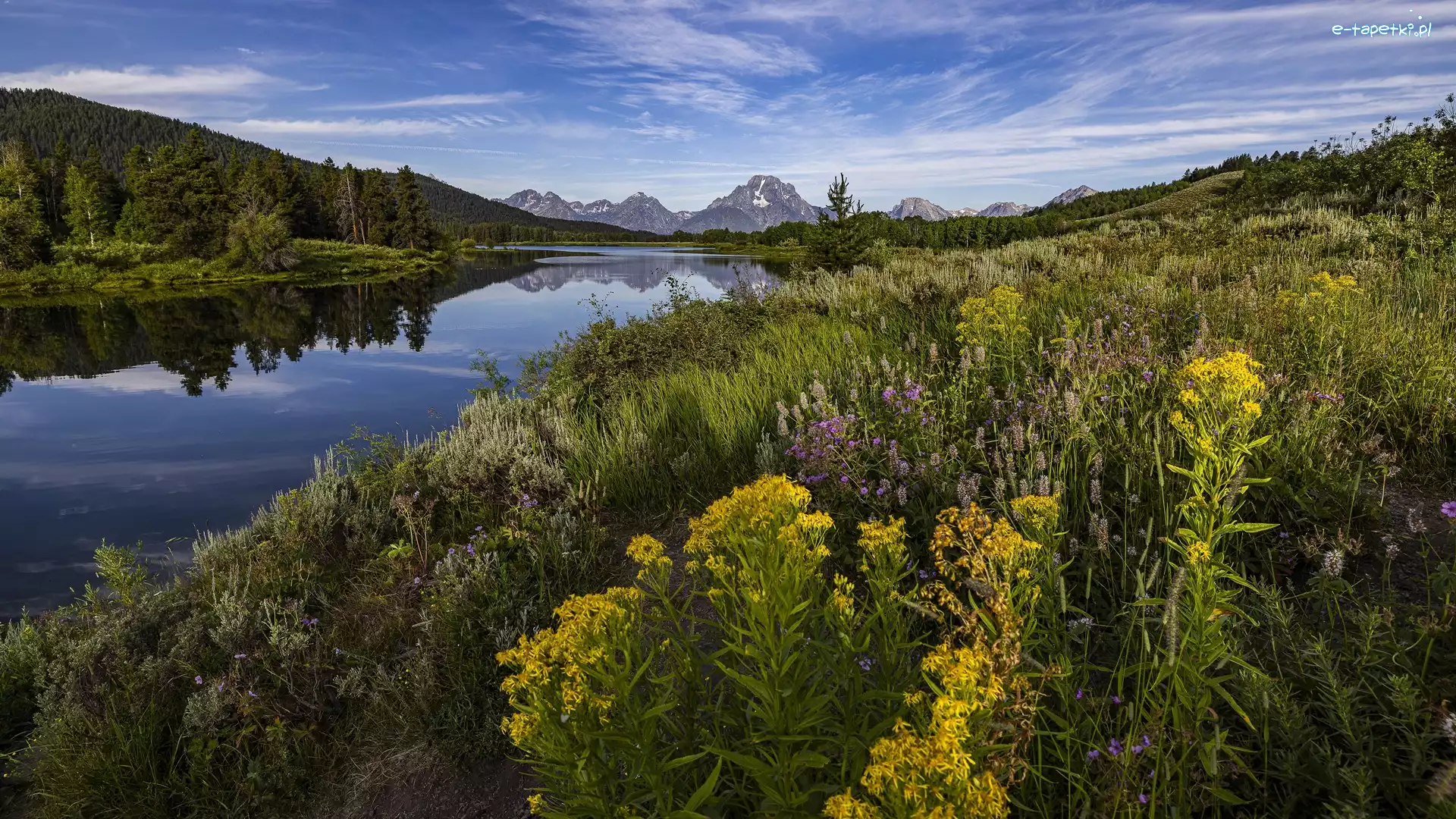 Kwiaty, Stany Zjednoczone, Łąka, Park Narodowy Grand Teton, Niebo, Snake River, Rośliny, Góry, Mount Moran, Wyoming, Rzeka