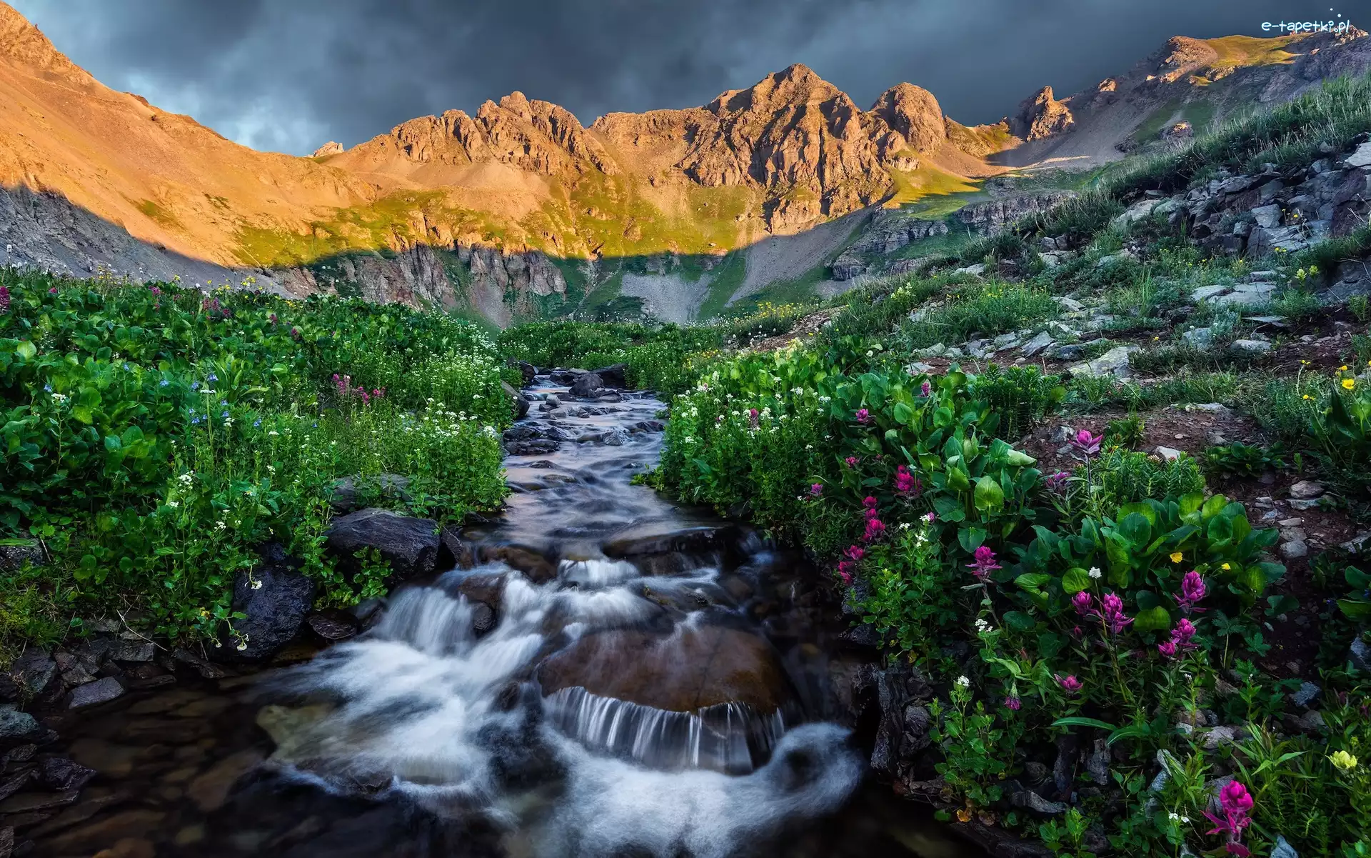 Clear Creek Basin, Wąwóz, Góry, Kolorado, Stany Zjednoczone, Skały, Kwiaty, San Juan Mountains, Rzeka