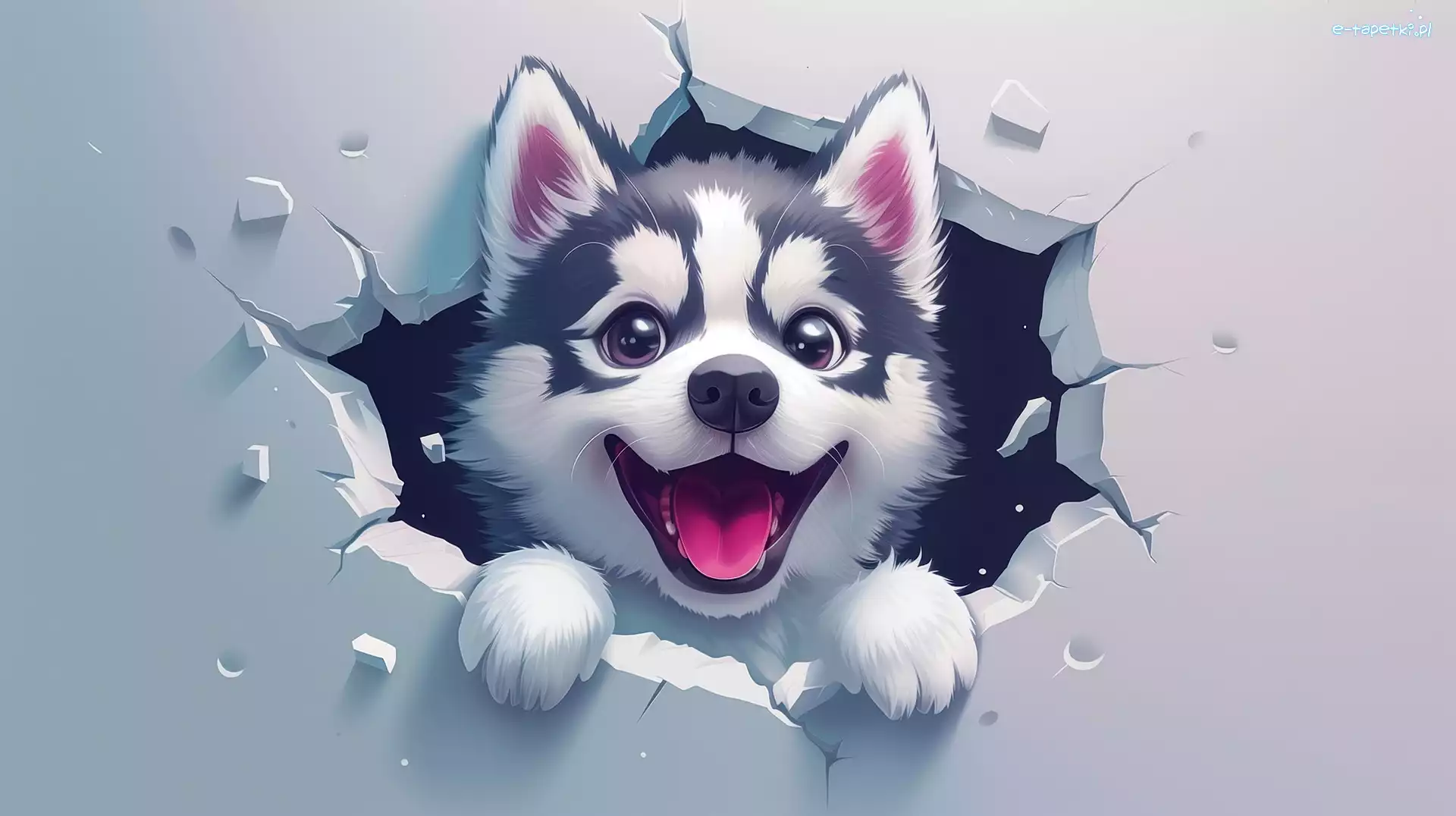 Szczeniak, Grafika, Siberian husky, Pies