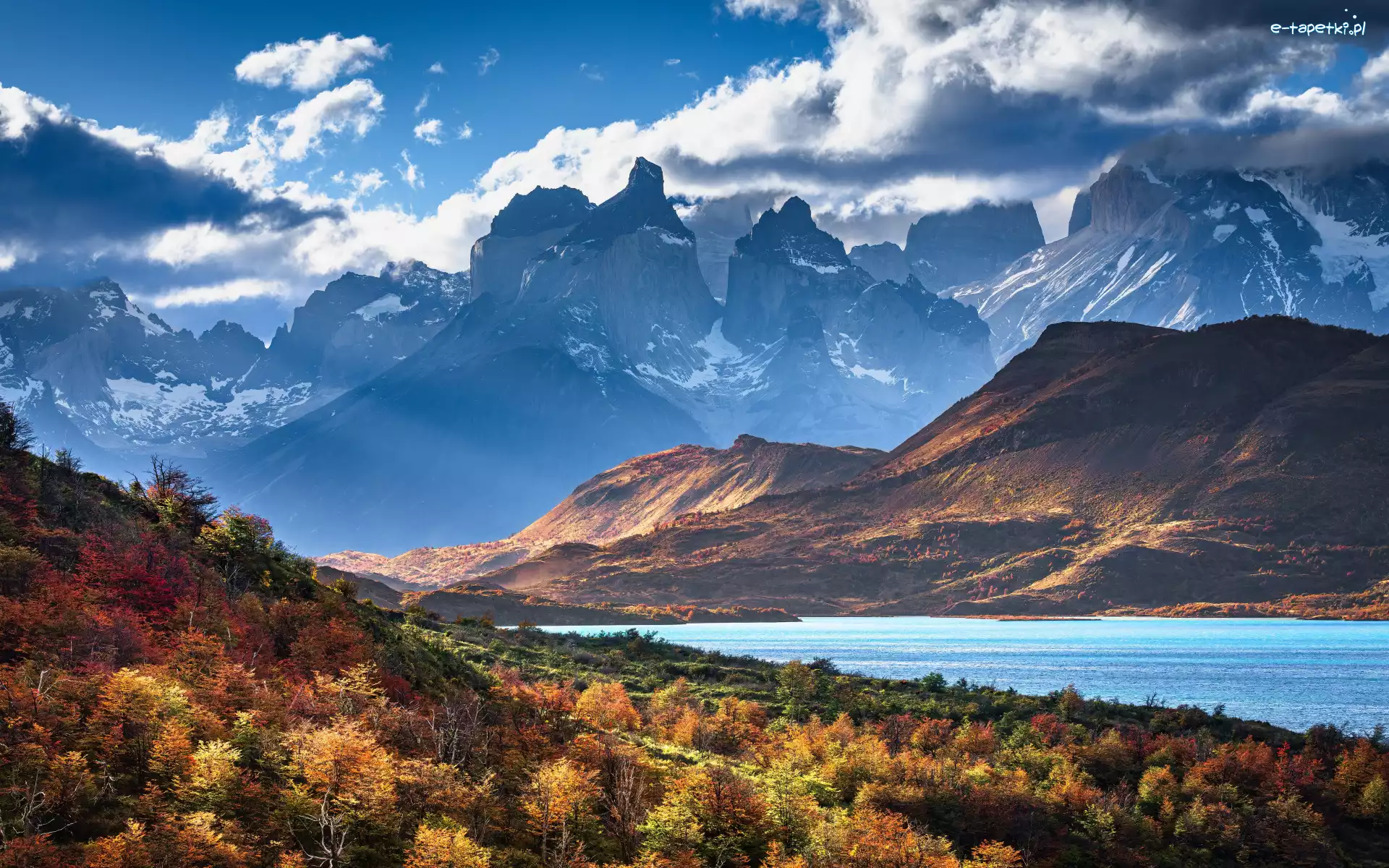 Roślinność, Chmury, Jezioro, Torres del Paine, Góry, Ameryka Południowa, Patagonia, Pehoe Lake, Chile