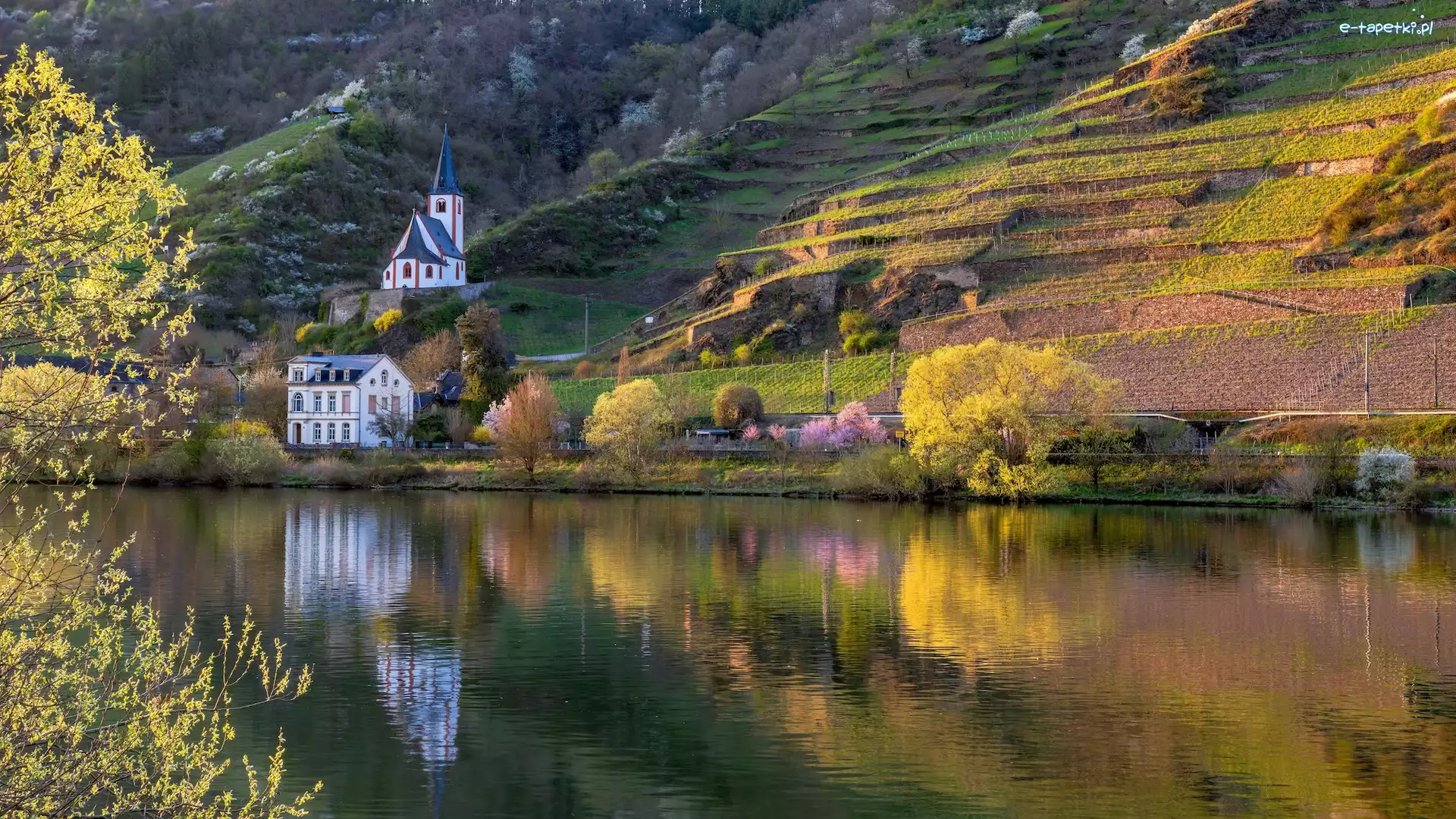 Wzgórza, Mozela, Rzeka, Nadrenia-Palatynat, Niemcy, Sankt Johannes Kirche, Kościół, Dolina, Winnice