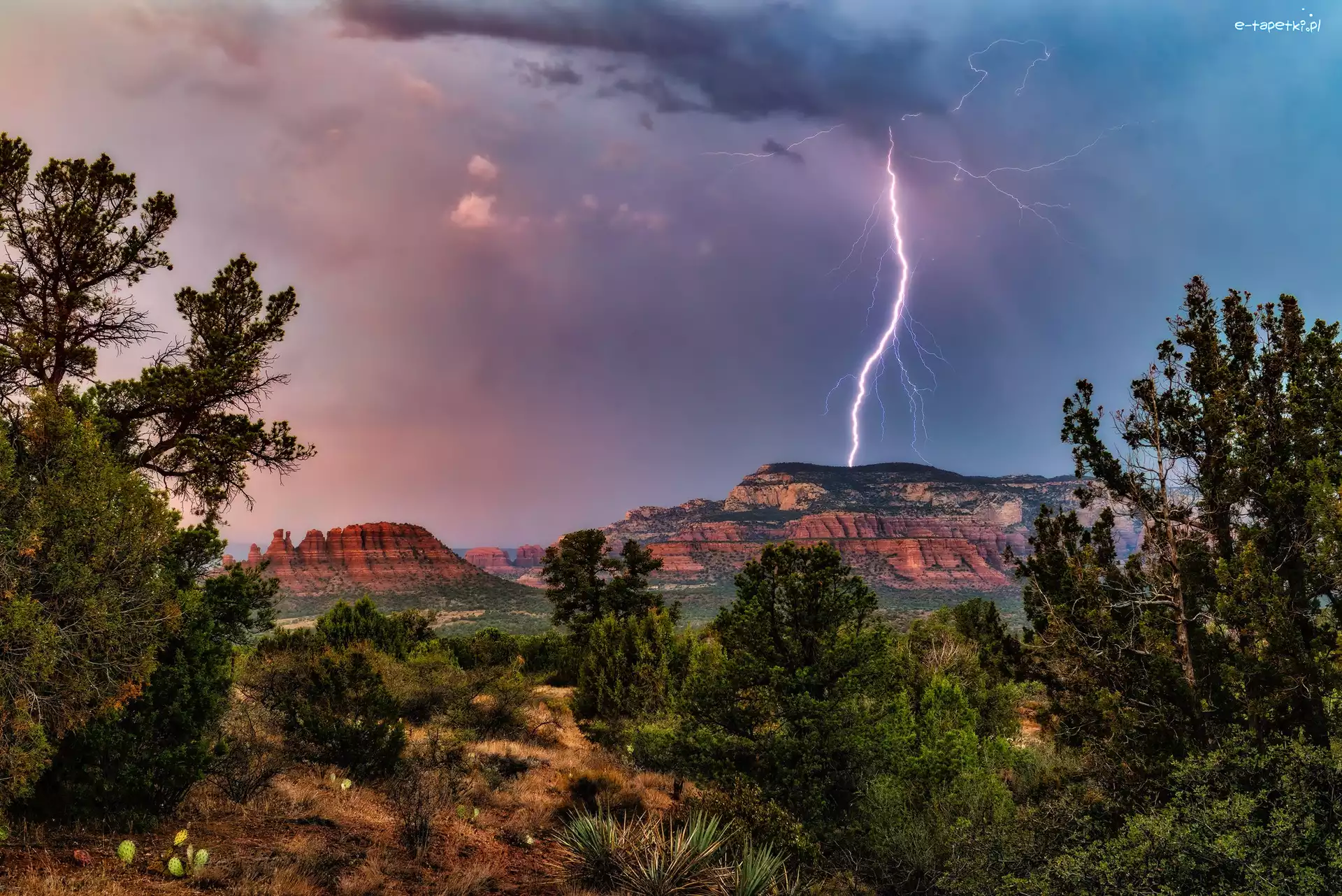 Drzewa, Stany Zjednoczone, Chmury, Sedona, Piorun, Góra, Skały, Błyskawica, Bear Mountain, Arizona, Burza