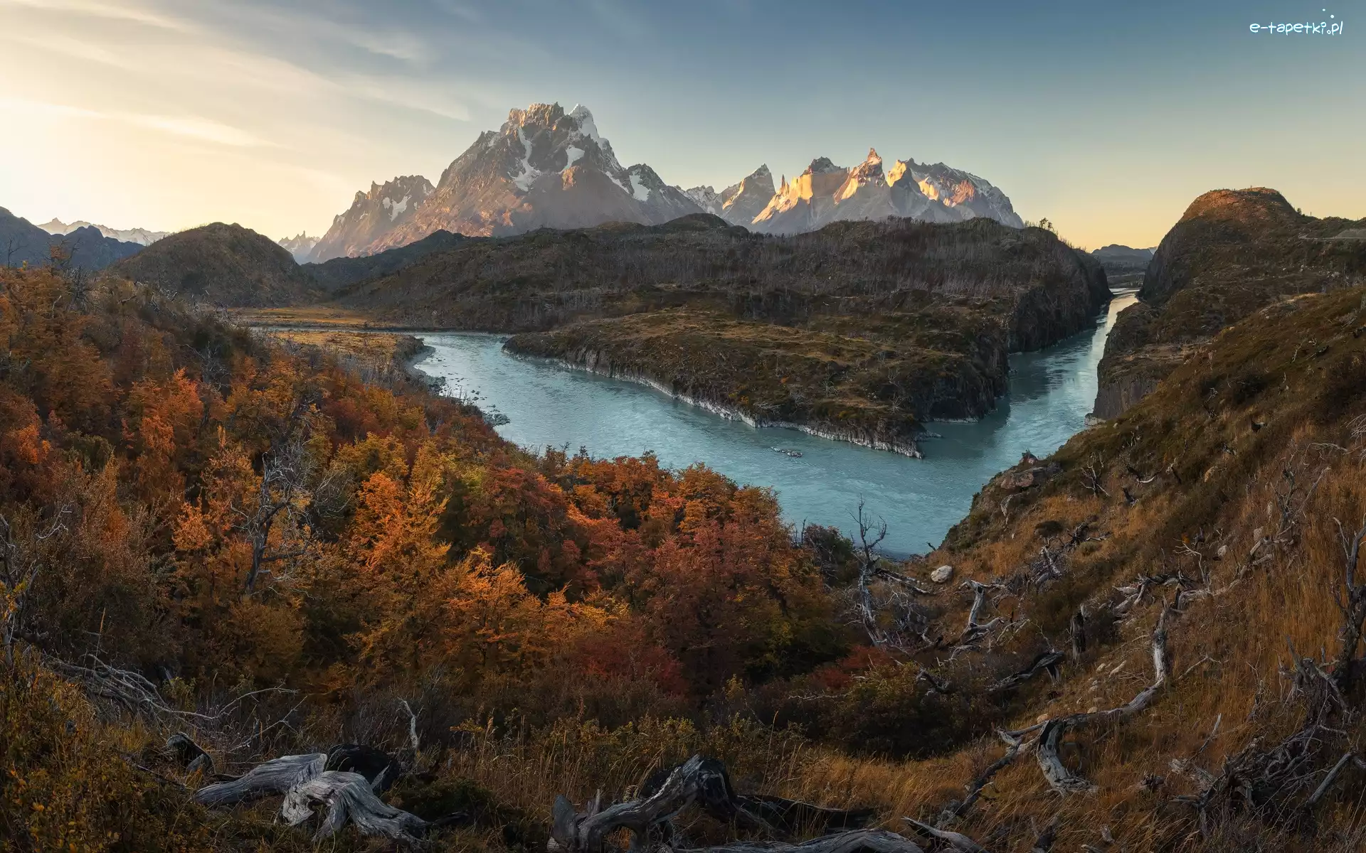 Drzewa, Park Narodowy Torres del Paine, Góry, Patagonia, Chile, Jesień, Rzeka