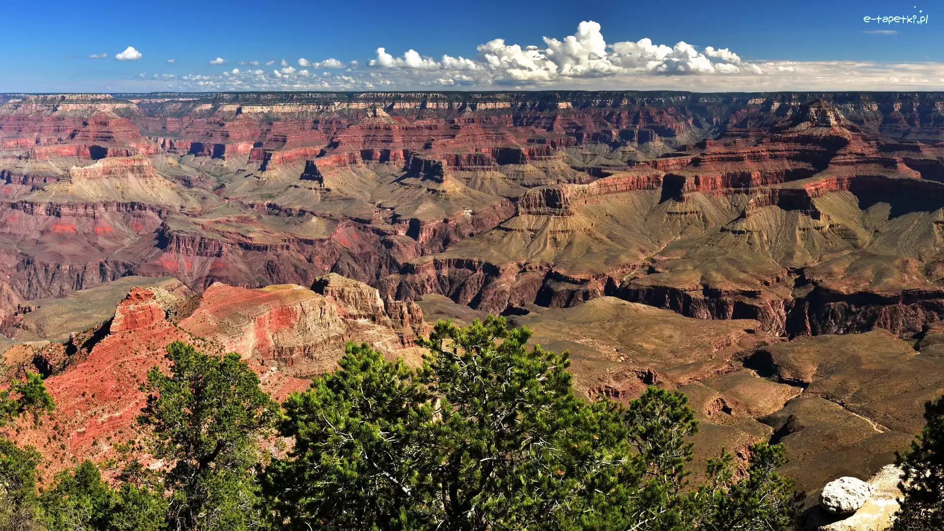 Grand Canyon National Park, Arizona, Drzewa, Skały, Park Narodowy Wielkiego Kanionu, Kanion, Góry, Stany Zjednoczone