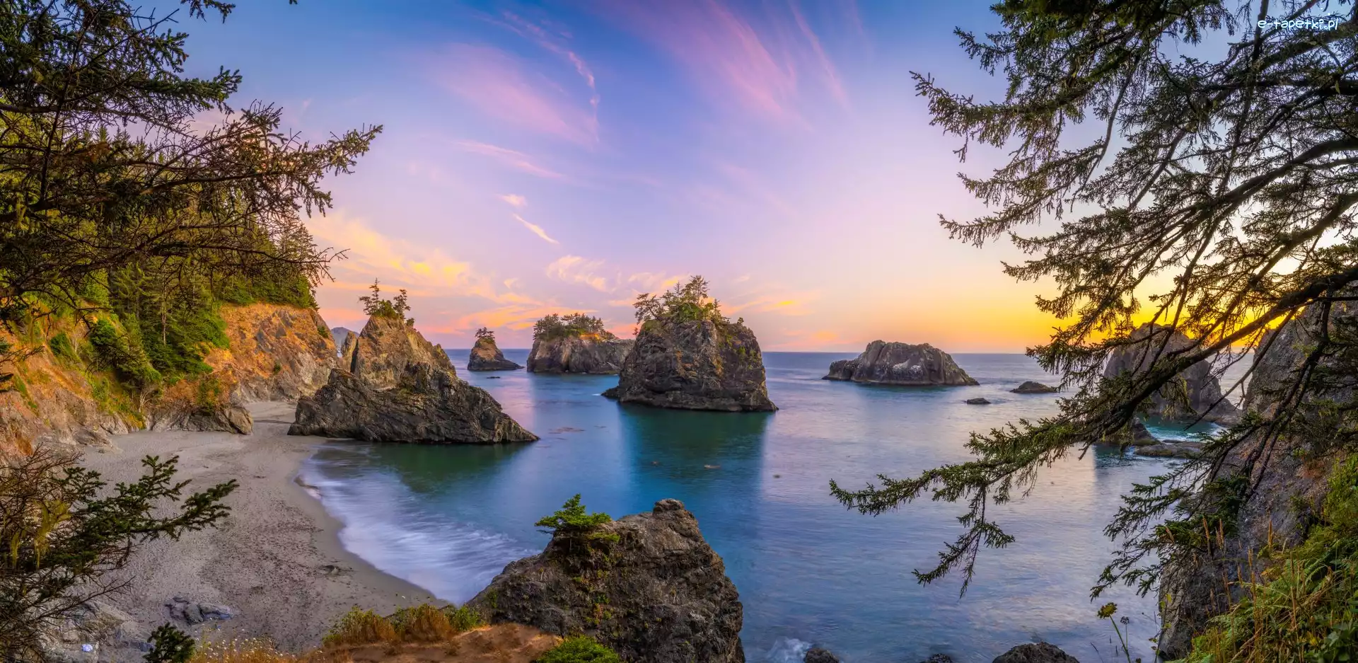 Wybrzeże, Morze, Stany Zjednoczone, Oregon, Drzewa, Park stanowy, Samuel H Boardman State Scenic Corridor, Skały