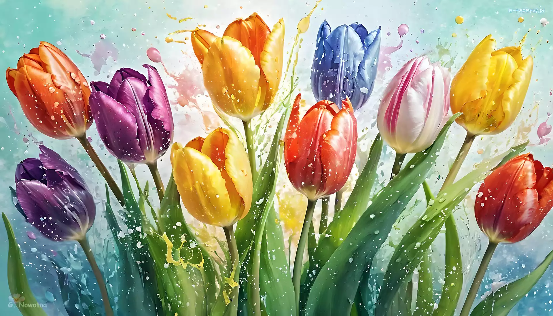 Rozkwitające, Grafika, Tulipany, Kolorowe