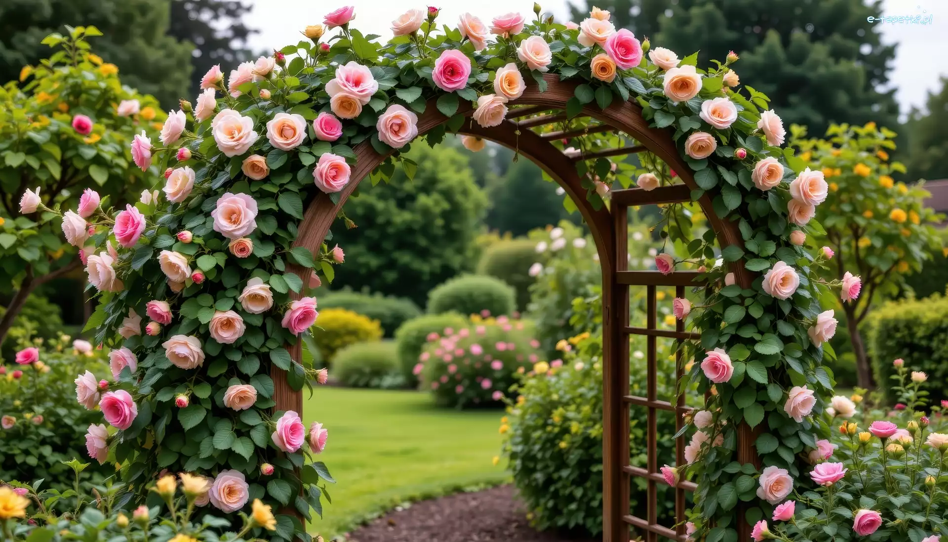 Pergola, Pnące, Róże, Ogród