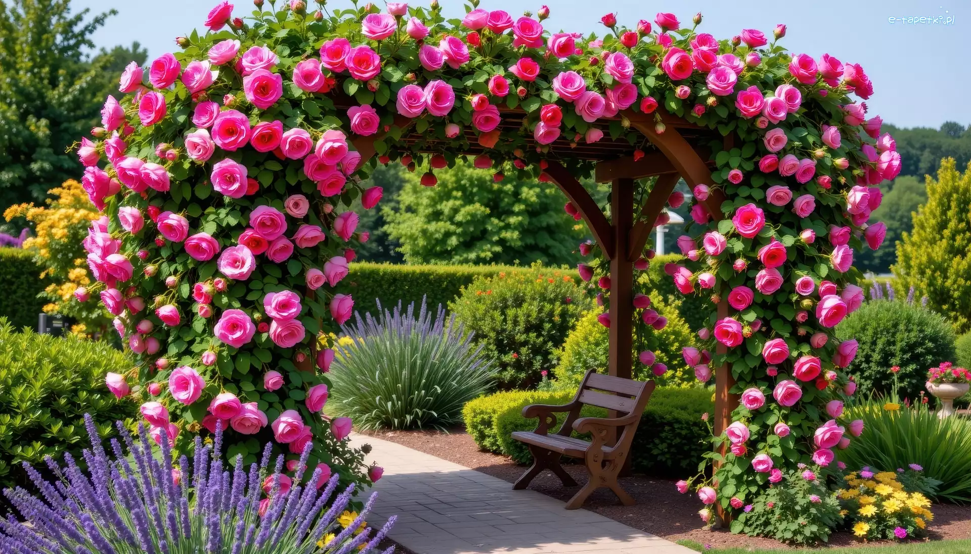 Kwiaty, Pergola, Róże, Klomby, Ławka, Ogród