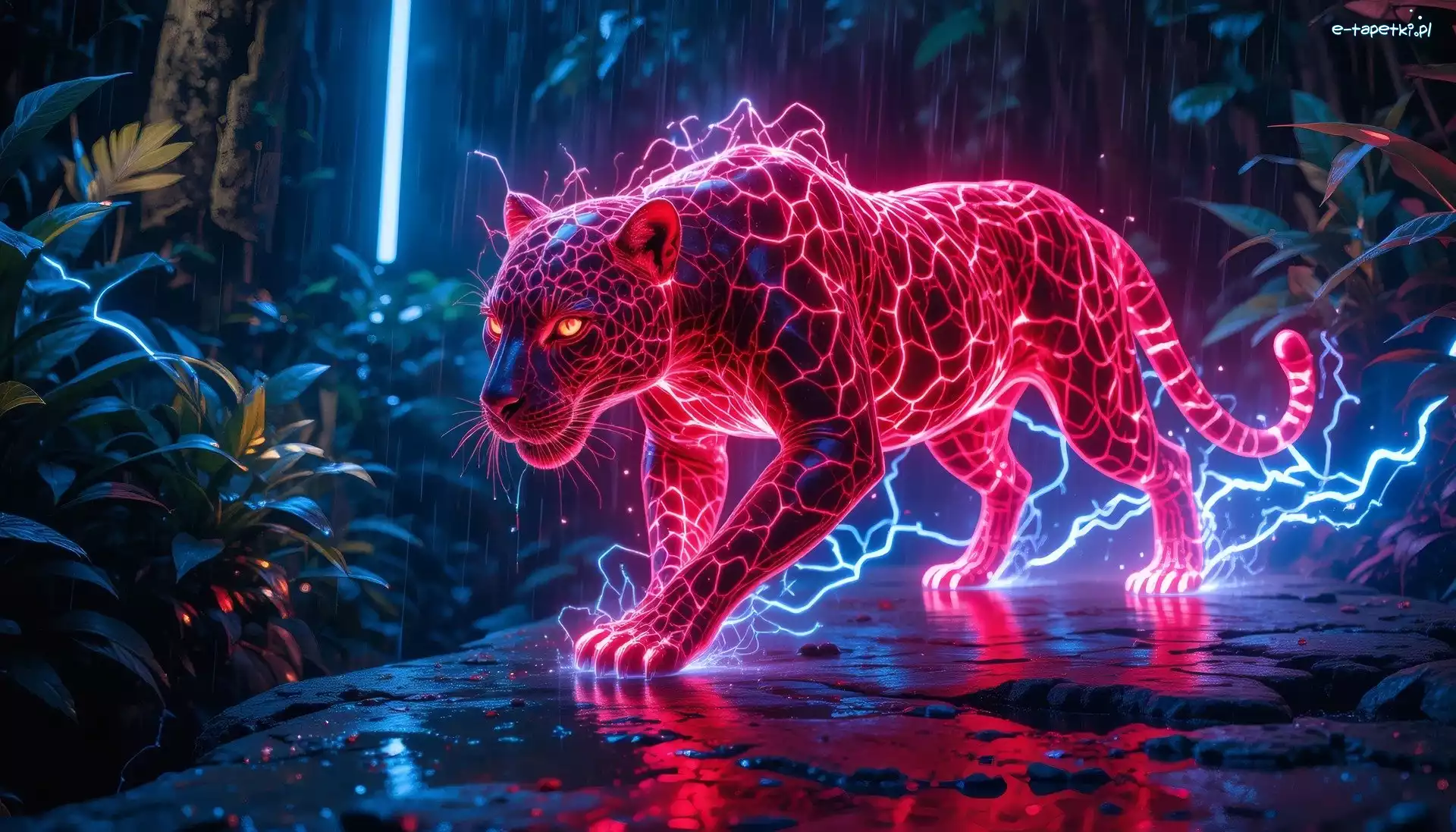 Elektryczny, Zwierzę, Kolor, Dzikie, Komputerowa, Jaguar, Oświetlenie, Grafika, Stąpanie, Drapieżne, Różowy
