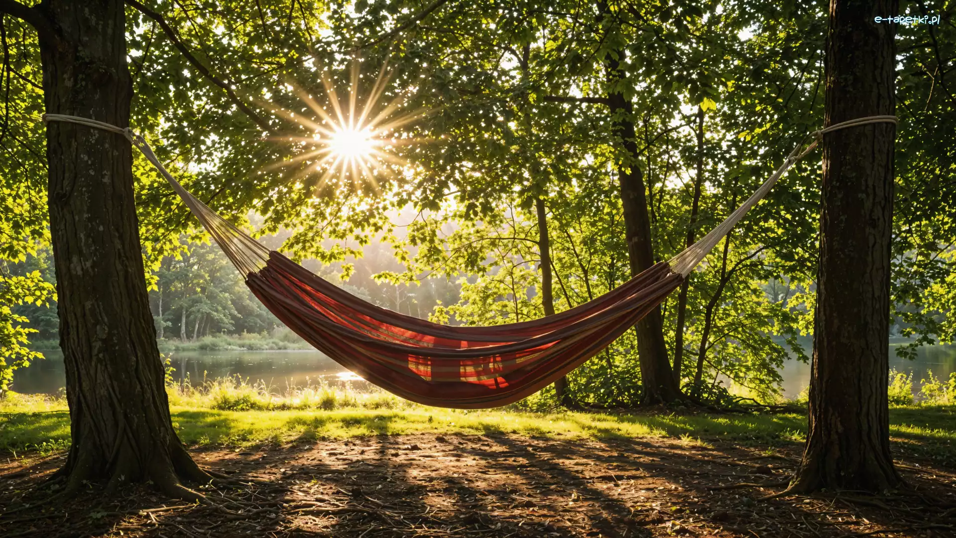Promienie słońca, Drzewa, Hamak, Rzeka, Las, Lato