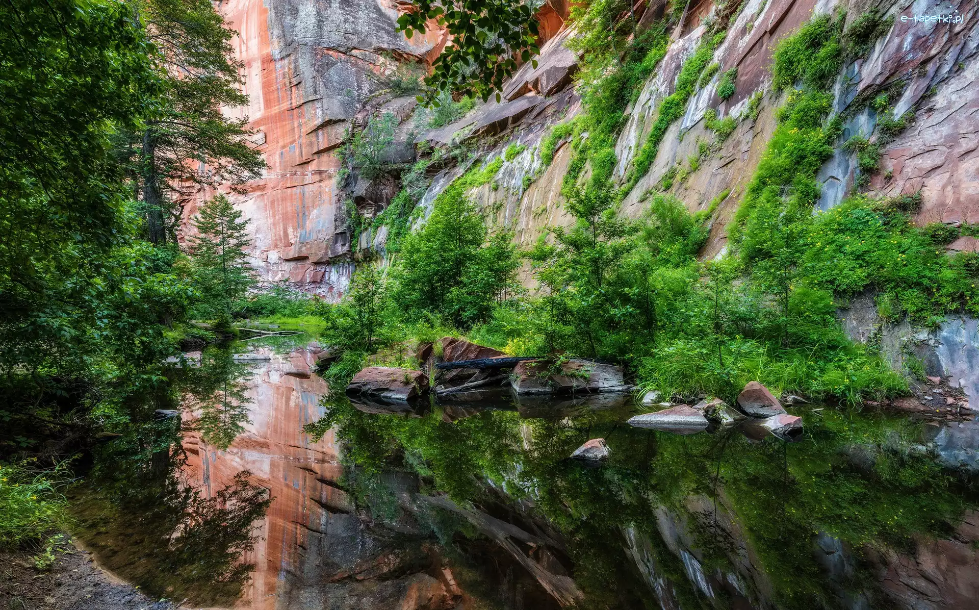 Oak Creek, Wąwóz, Sedona, Arizona, Stany Zjednoczone, Roślinność, Drzewa, Skały, Rzeka