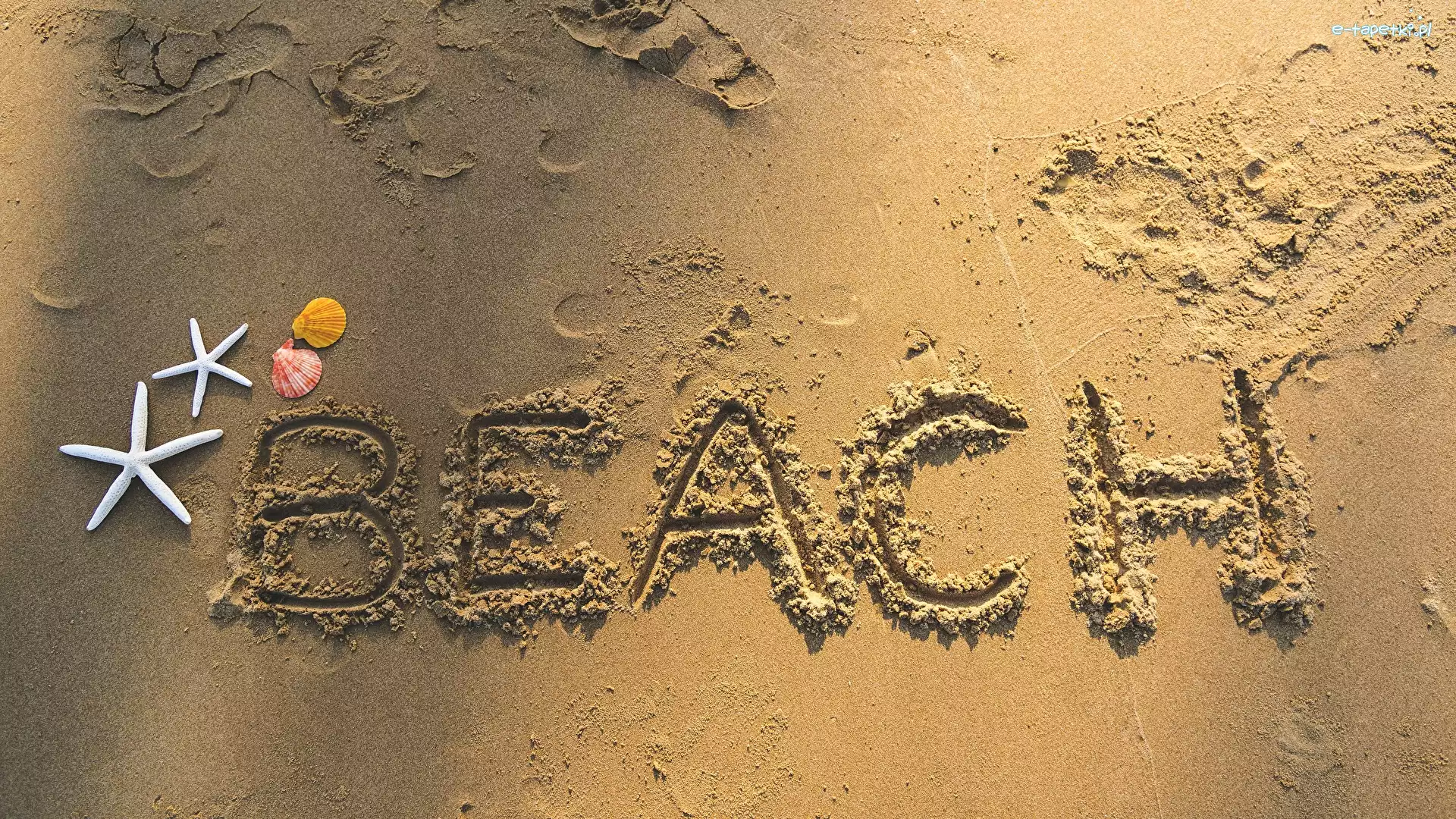 Plaża, Muszelki, Rozgwiazdy, Beach, Napis