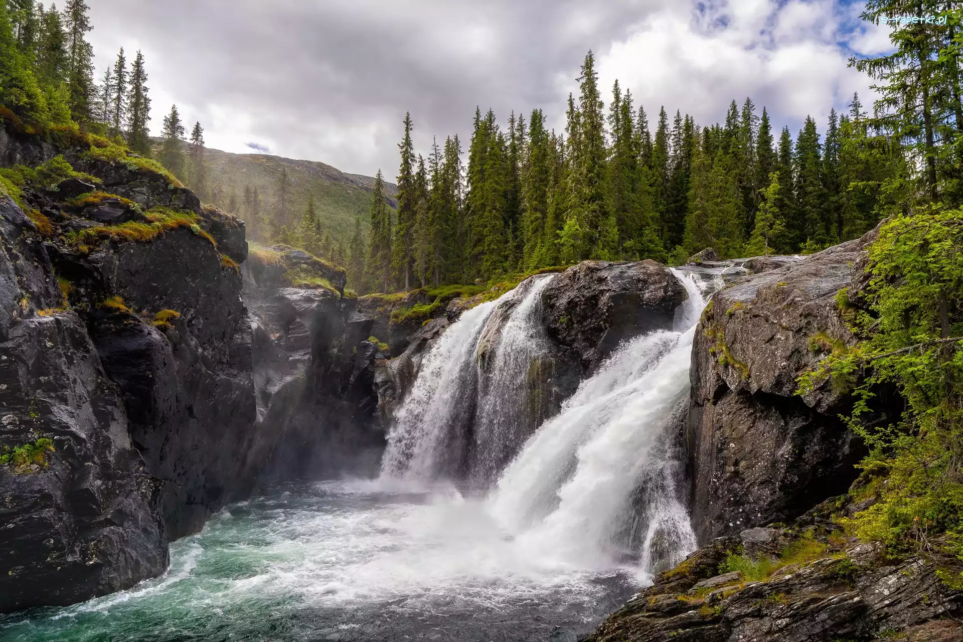 Rjukandefossen, Hemsedal, Chmury, Drzewa, Wodospad, Skały, Las, Norwegia