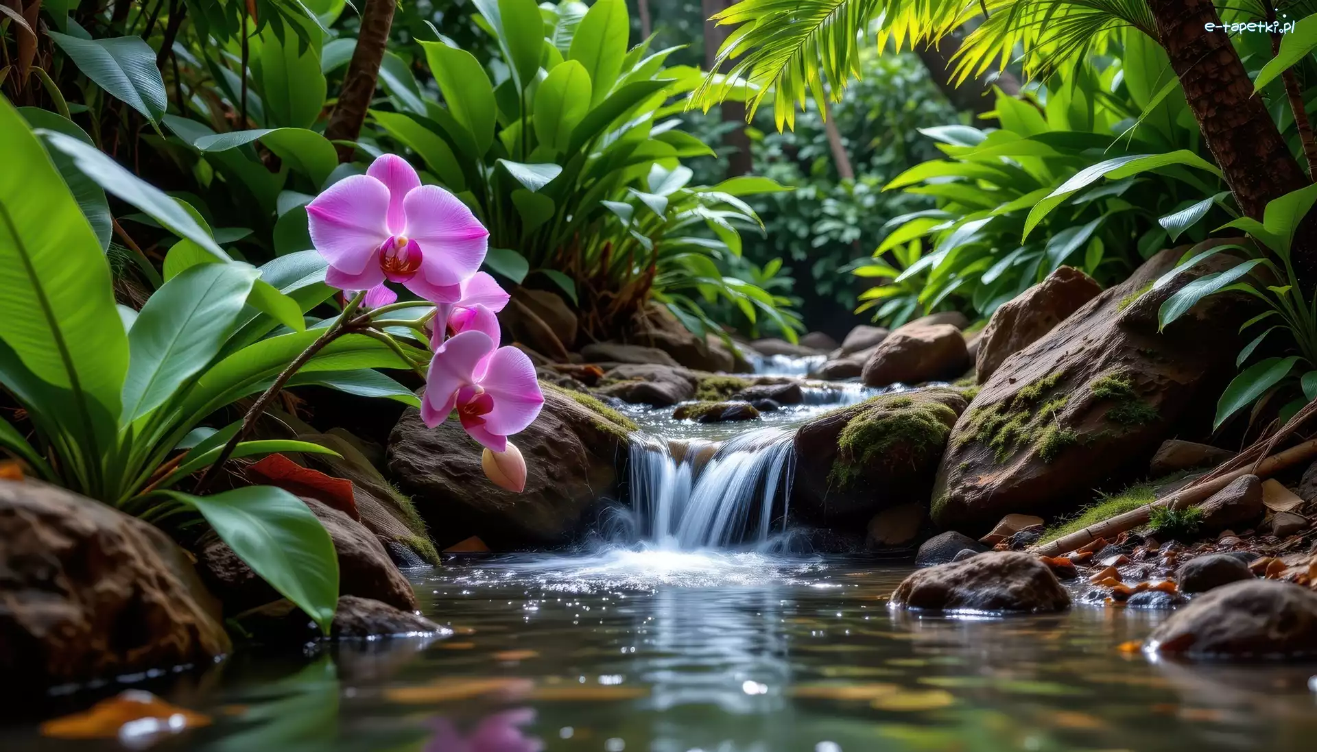 Storczyk, Grafika AI, Strumień, Orchidea