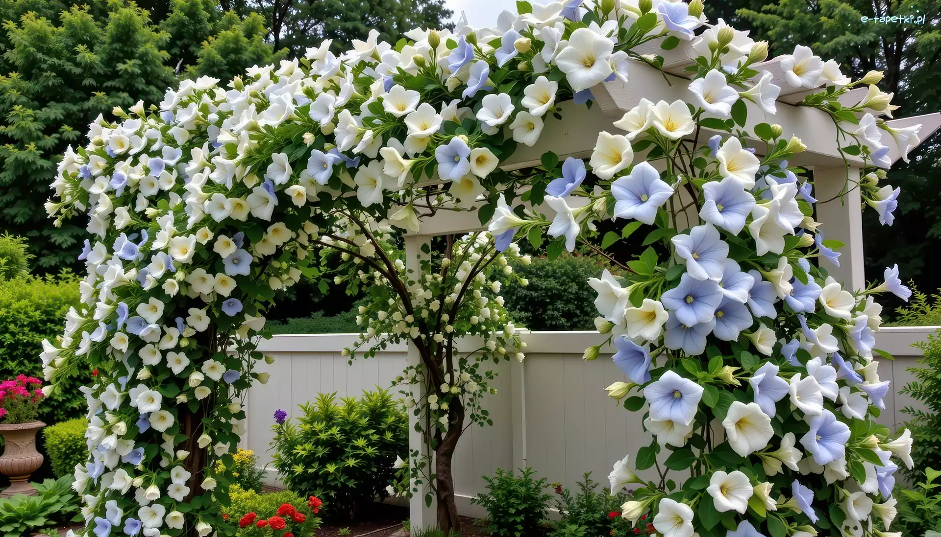 Pergola, Grafika AI, Płot, Kwiaty